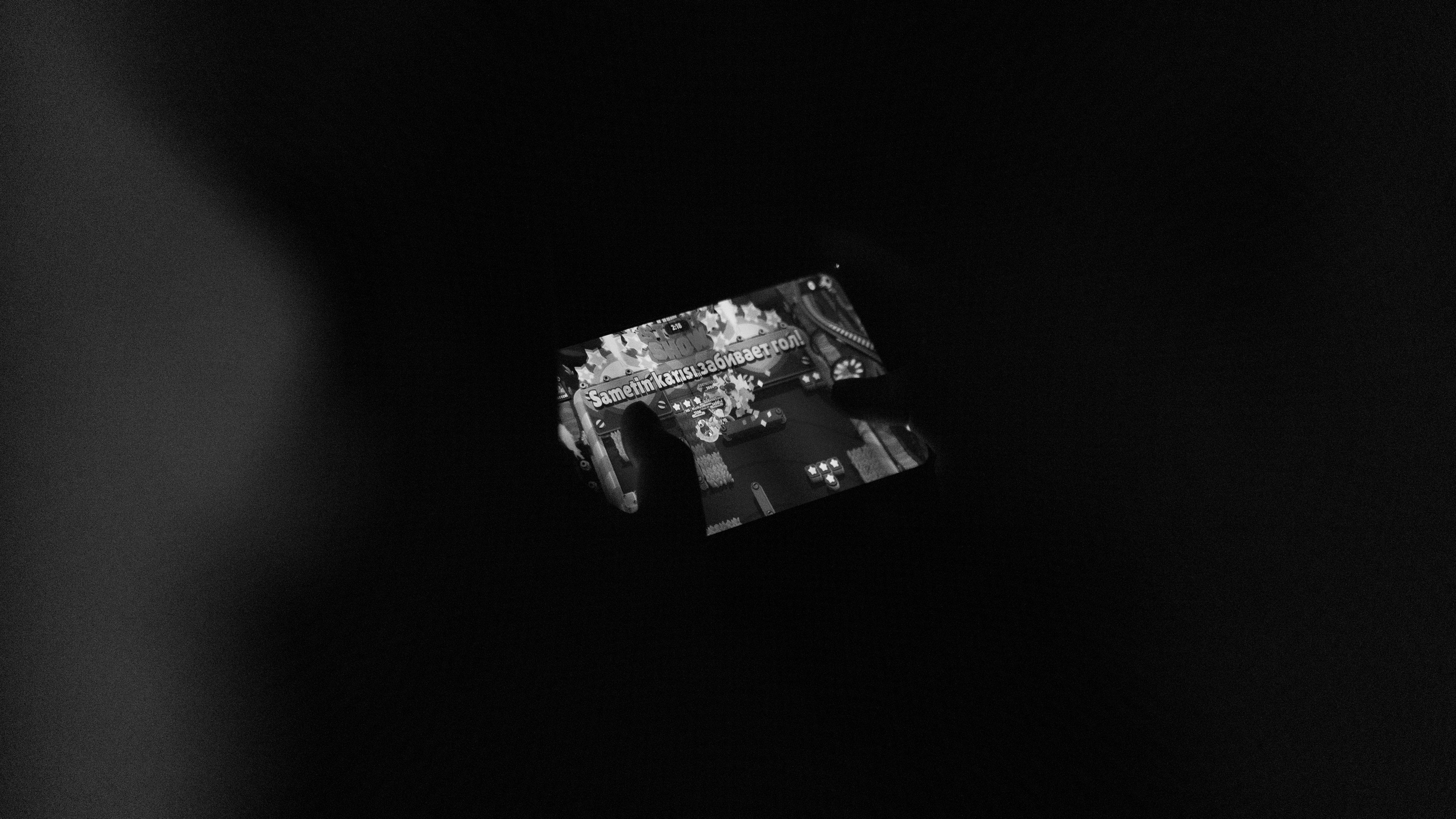 Хаски — Смоленск 23.05.2025. KiPPER Gallery — Фотограф