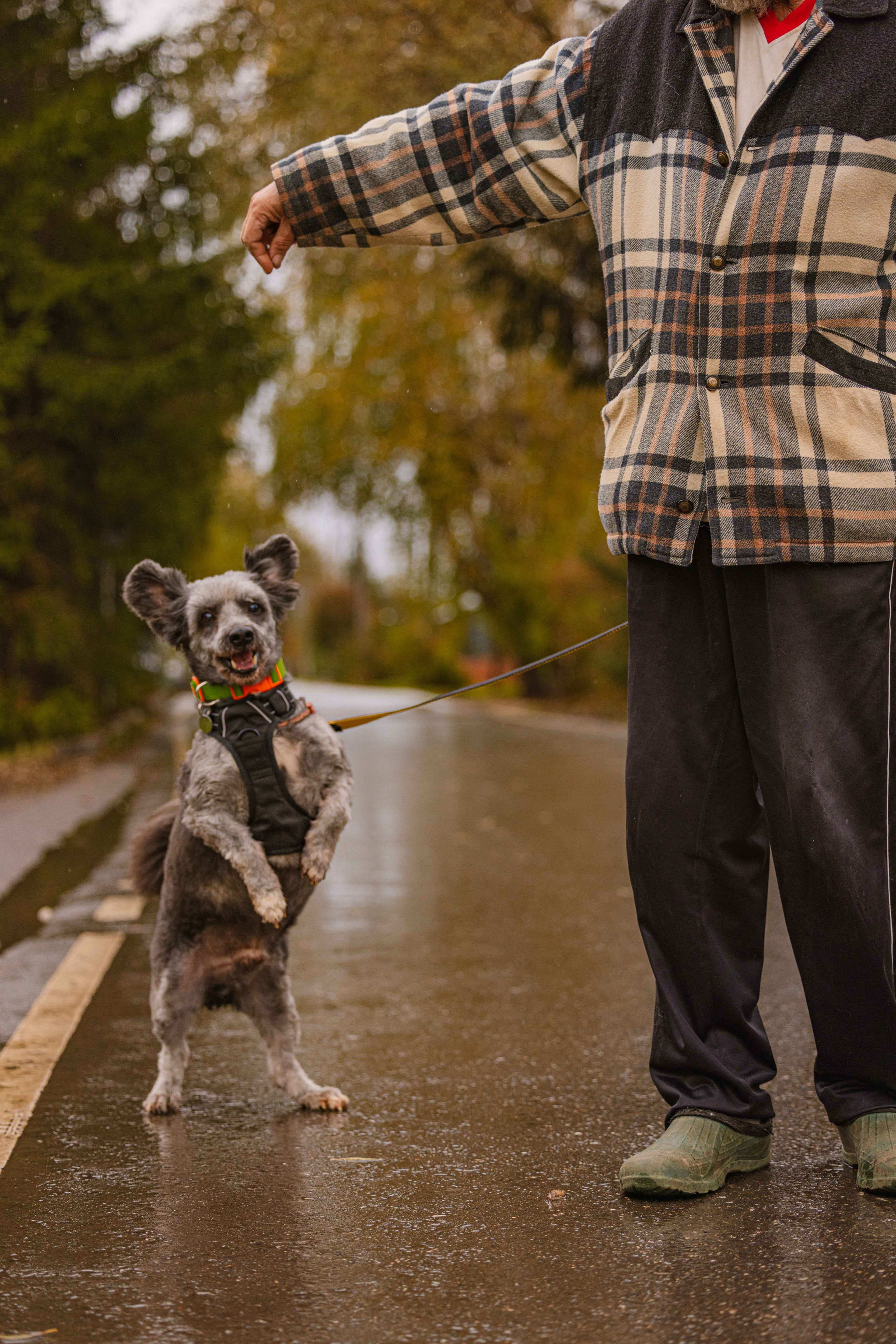 Передержка. Фотограф-анималист в Москве Лера Черноног