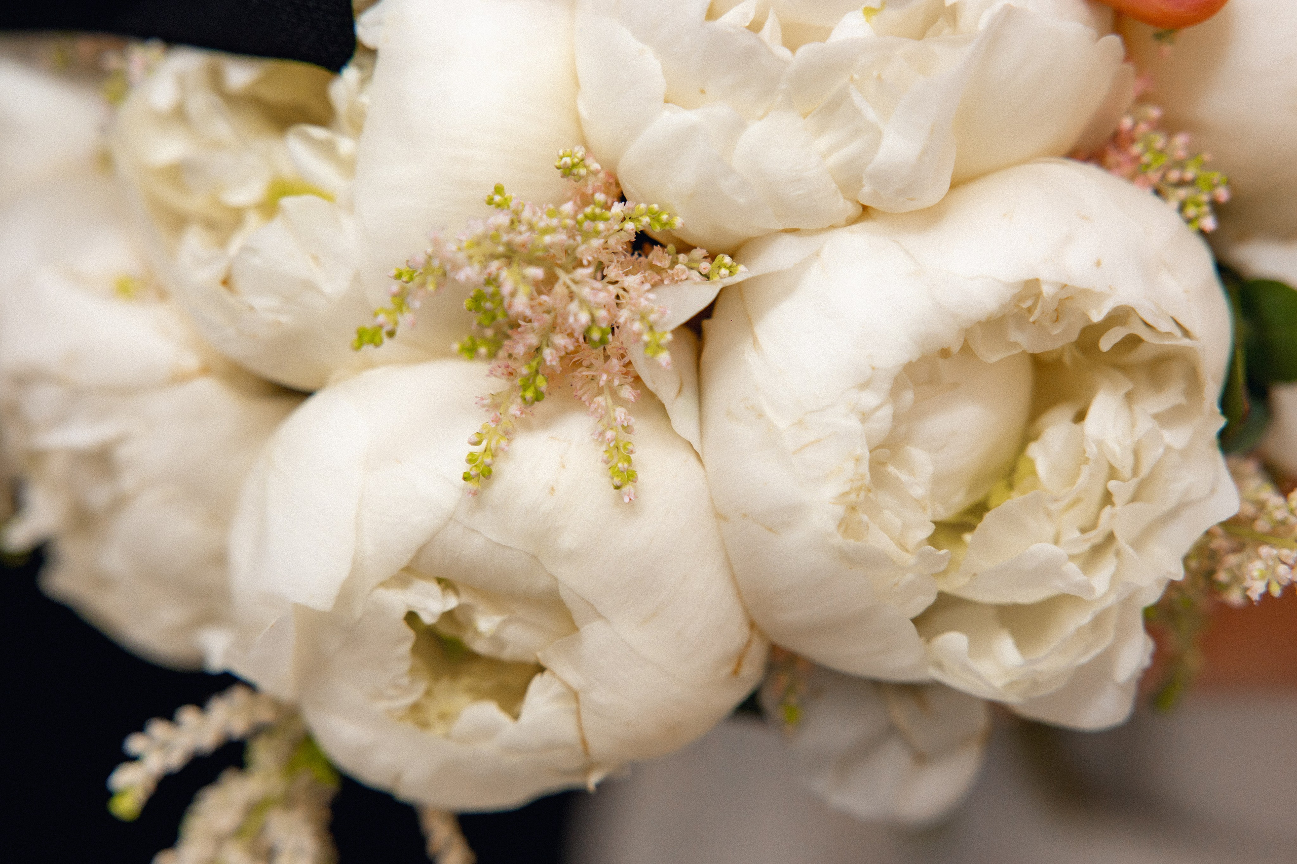 СВАДЬБЫ-все самое важное. Дарья Бухреева — фотограф, видеограф и фототерапевт. Москва и мир