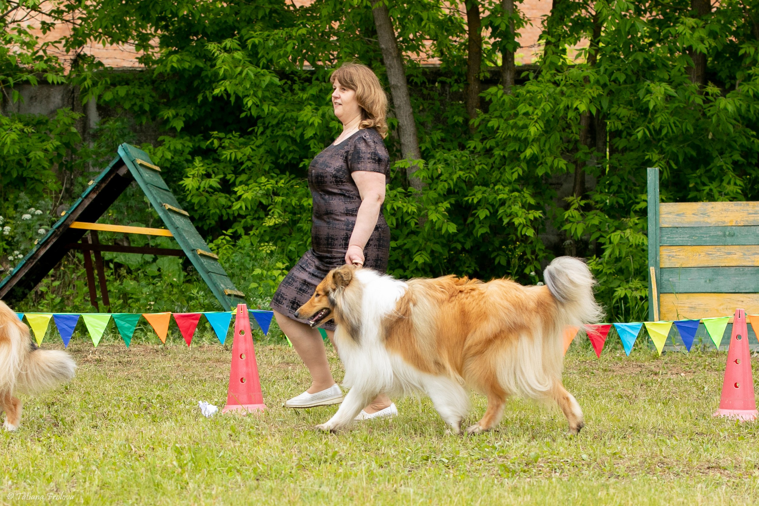 Фотосопровождение выставки собак в Московской области и Москве. Фотограф-анималист в Москве и Московской области Татьяна Фролова