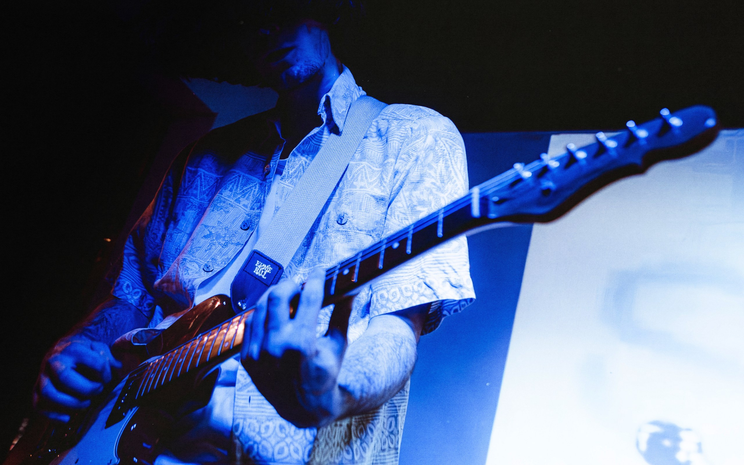 Dog Silent [pwrhs]. Фотограф Москва