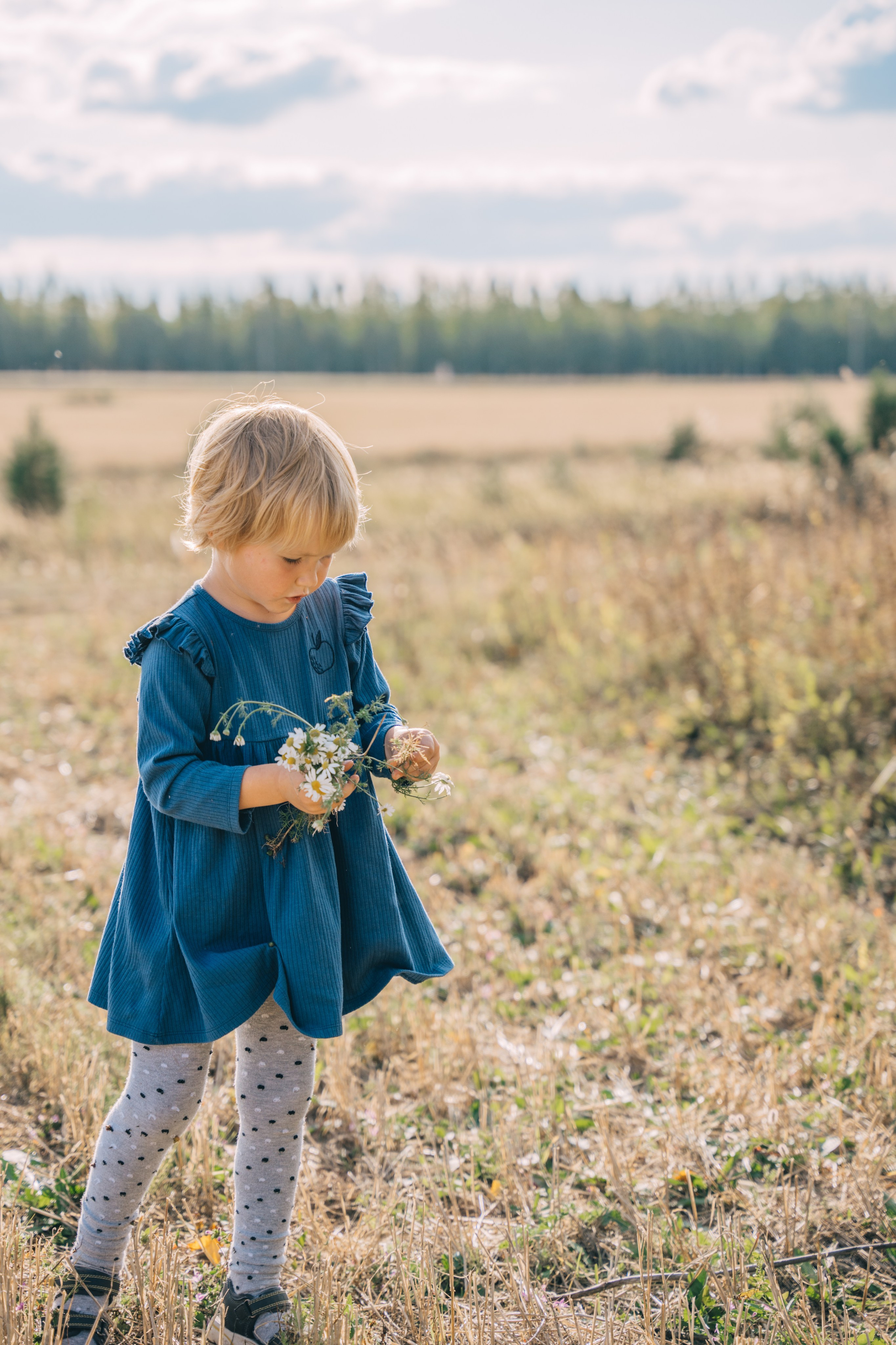 Ромашка Маша