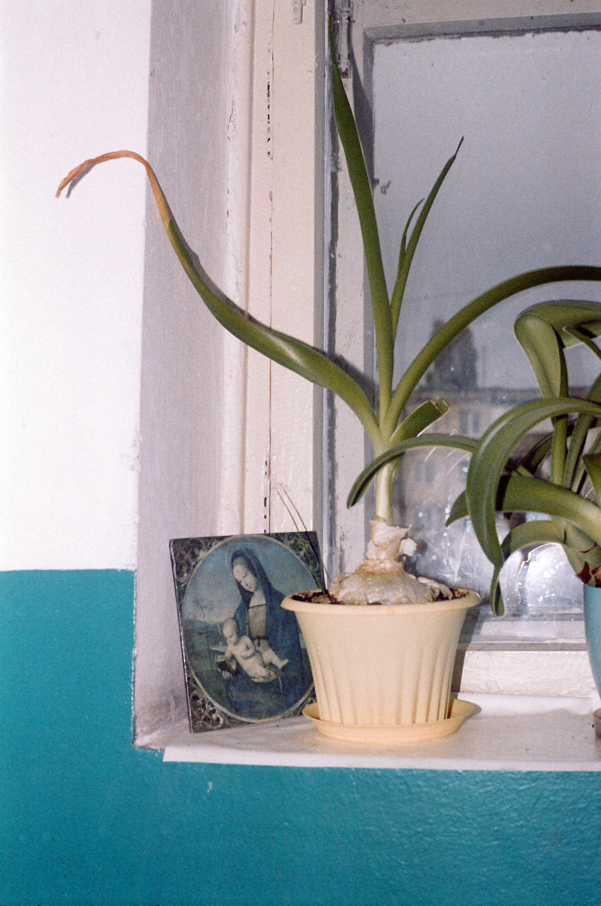 Работы фотографа Юлия Стремского. Фотография Стремского