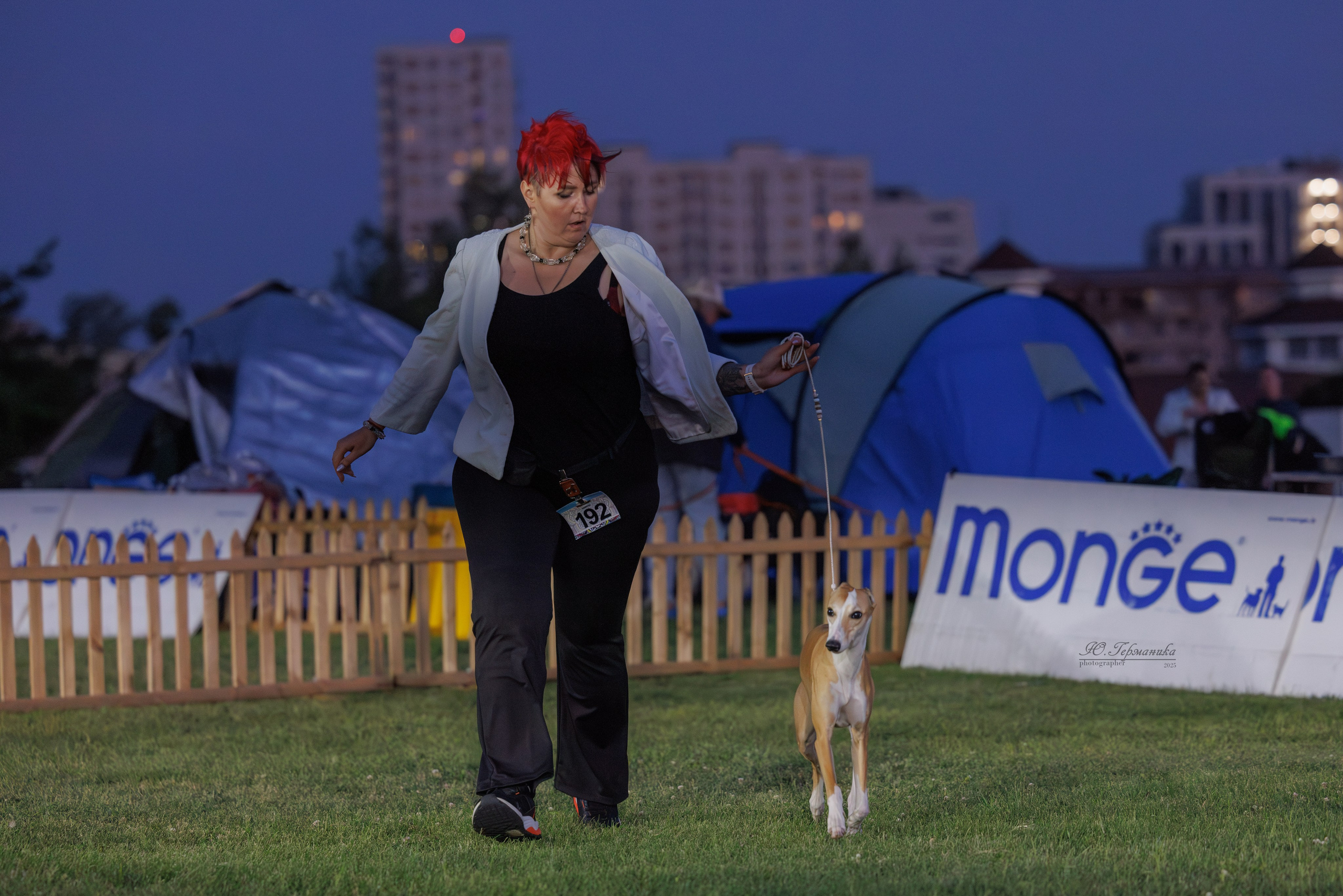 Ереван 3хCACIB 23-25.06.2025. Фотограф-анималист Юлия Германика