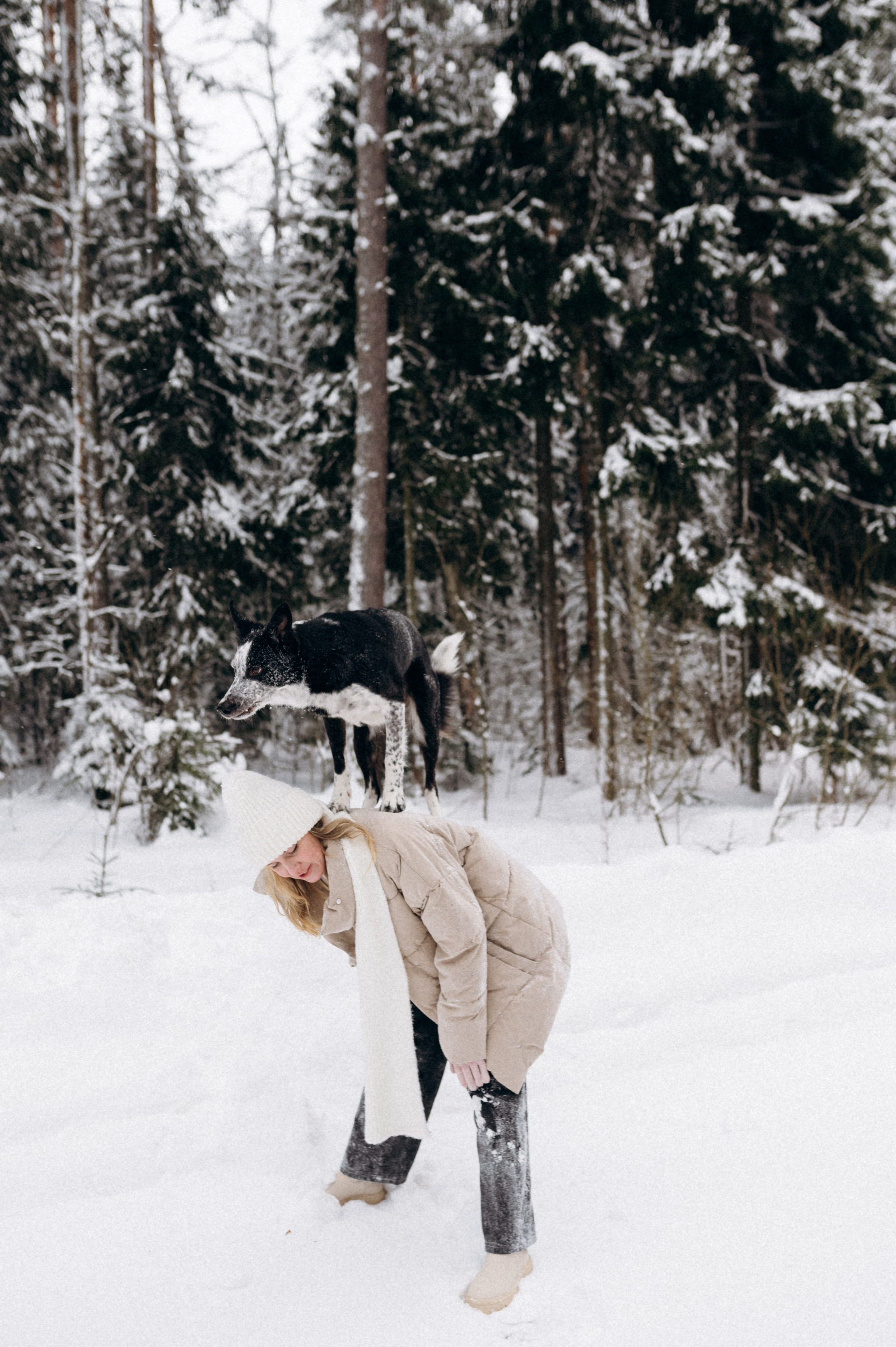 Аня и Милан. Фотограф анималист в Москве Ольга Агушева