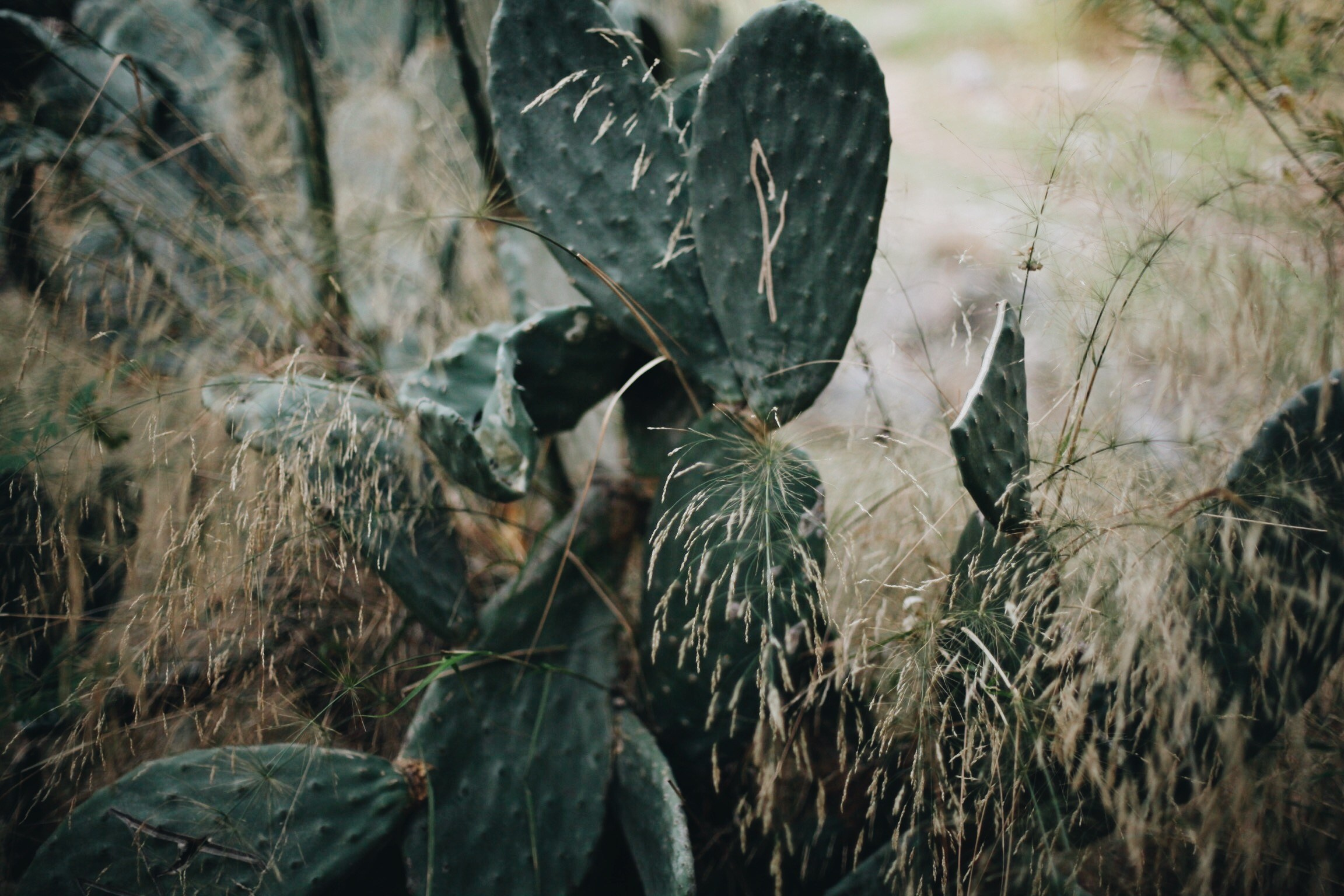 Волна. Ксения Плотникова
