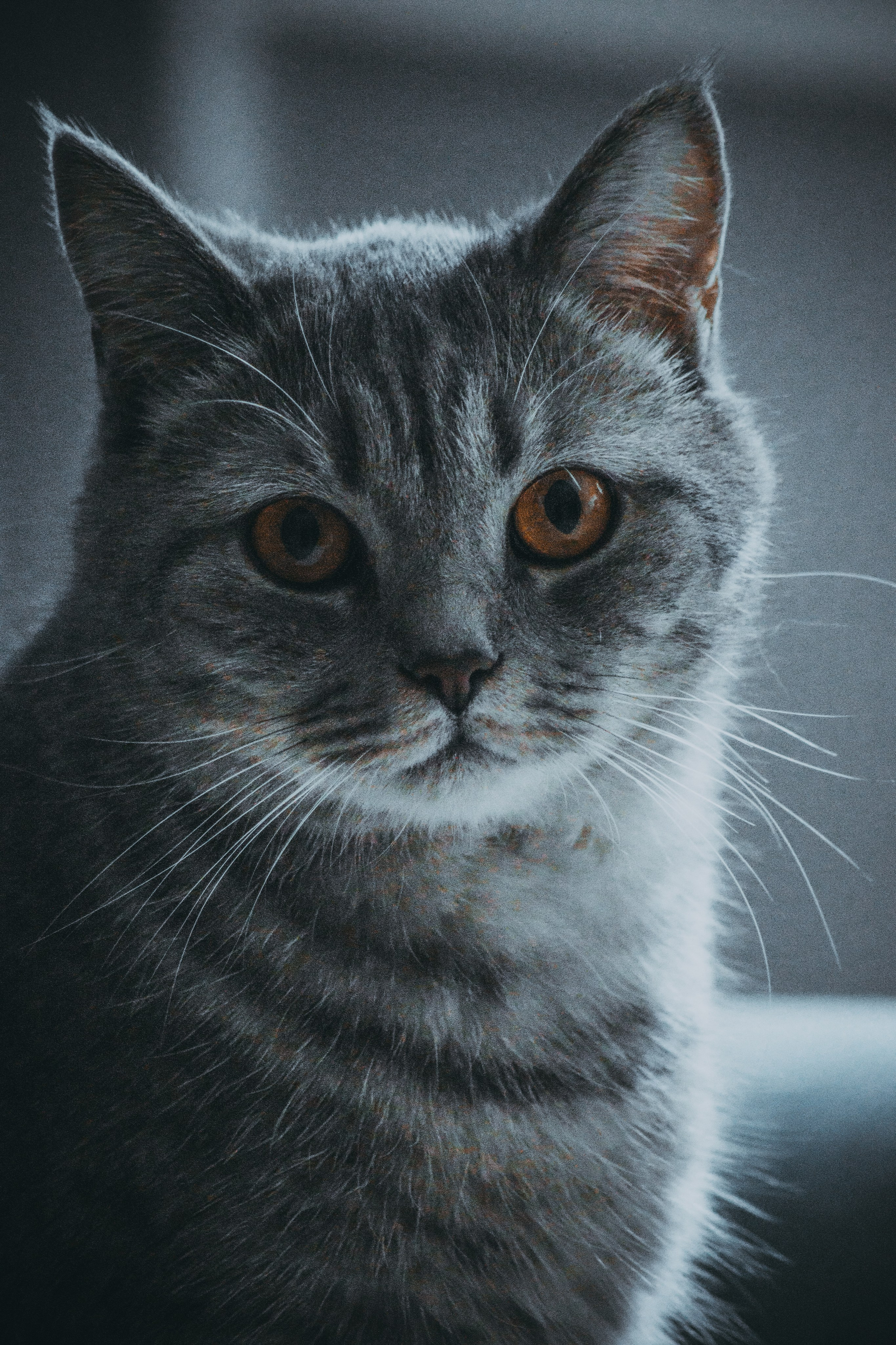 М А Р Т И Н. — Digital Noise —