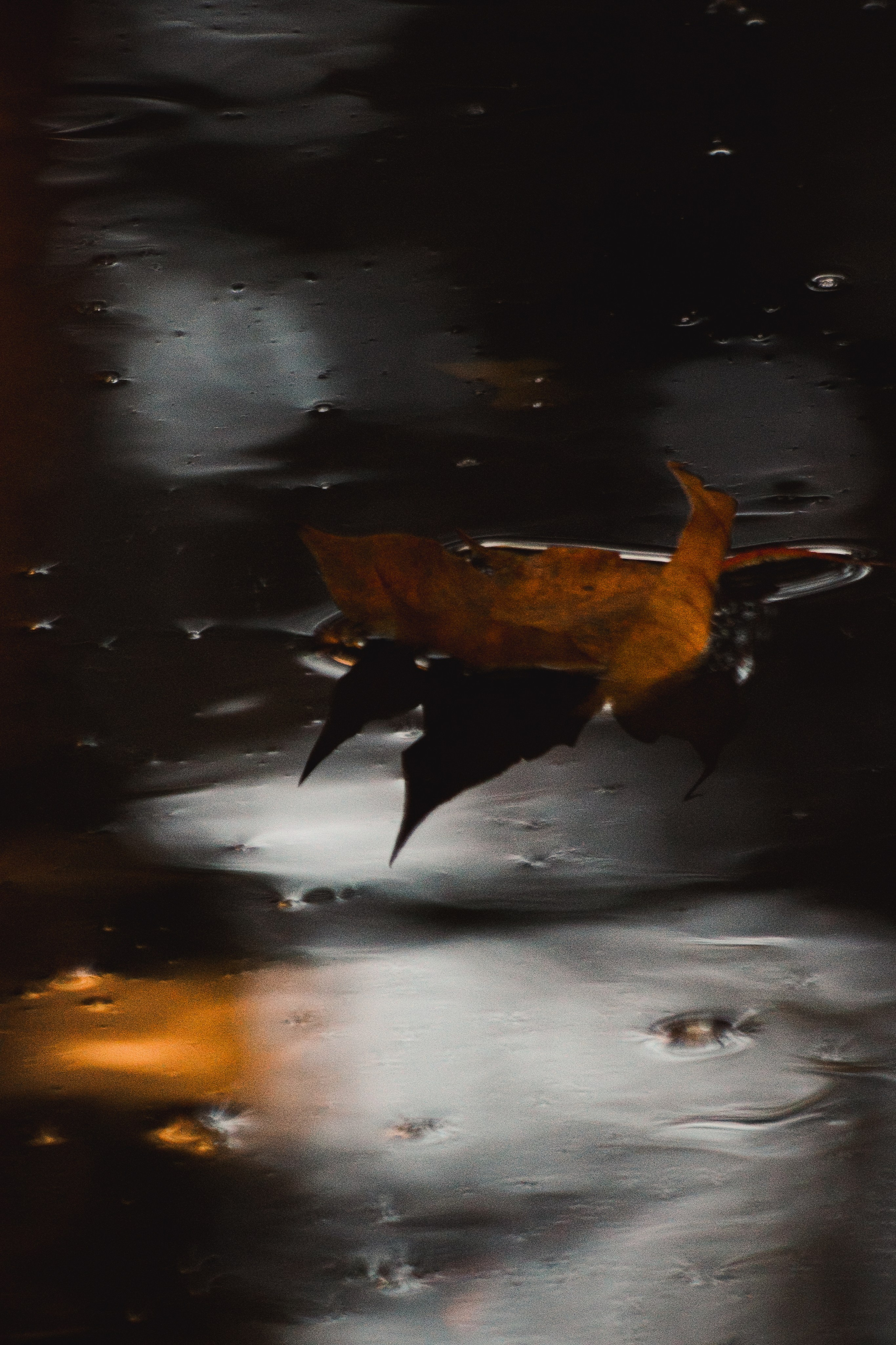 В О Д А. — Digital Noise —