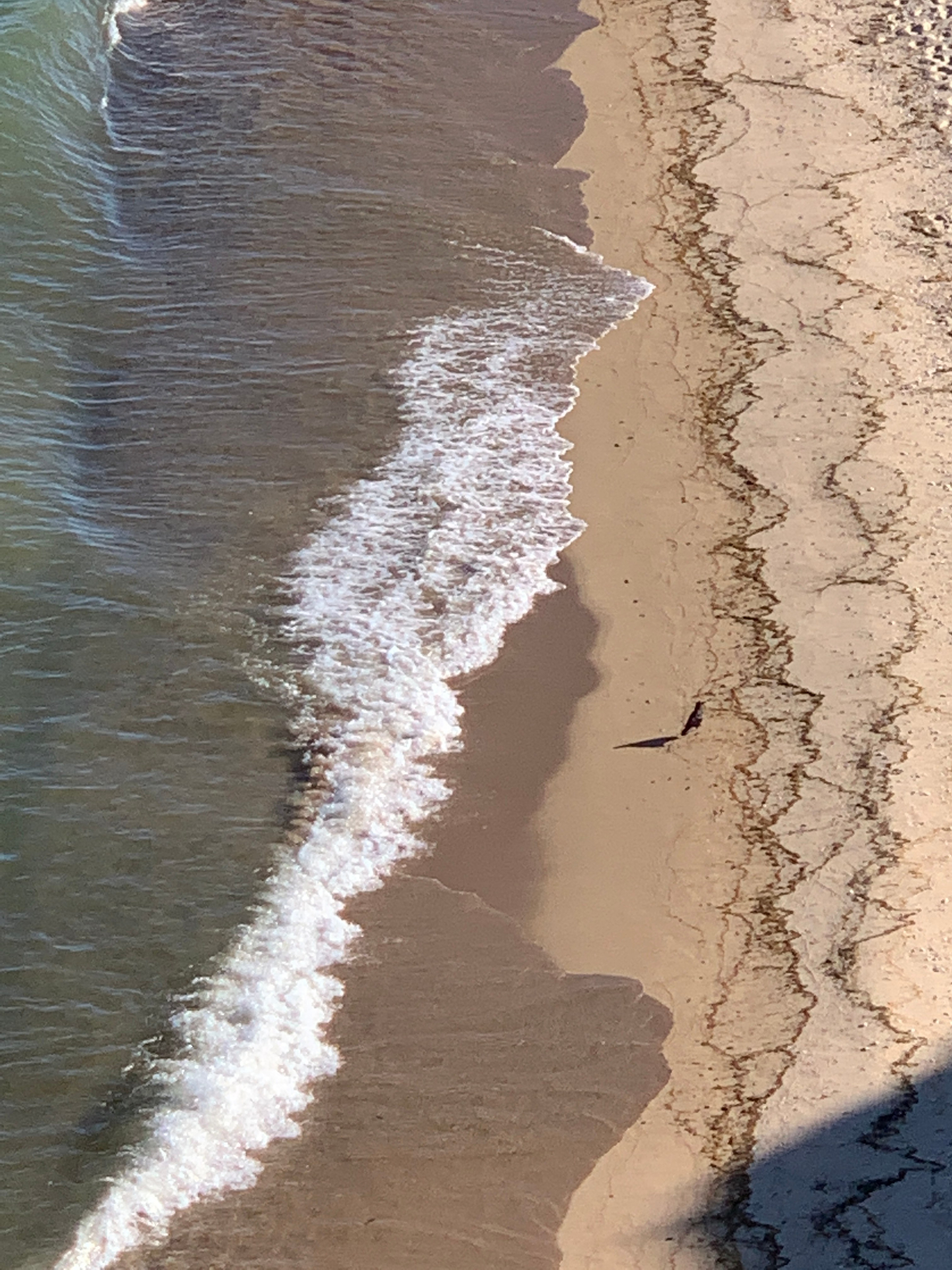 2022. Тащилин Сергей. Фотографии. Жизнь. Хобби