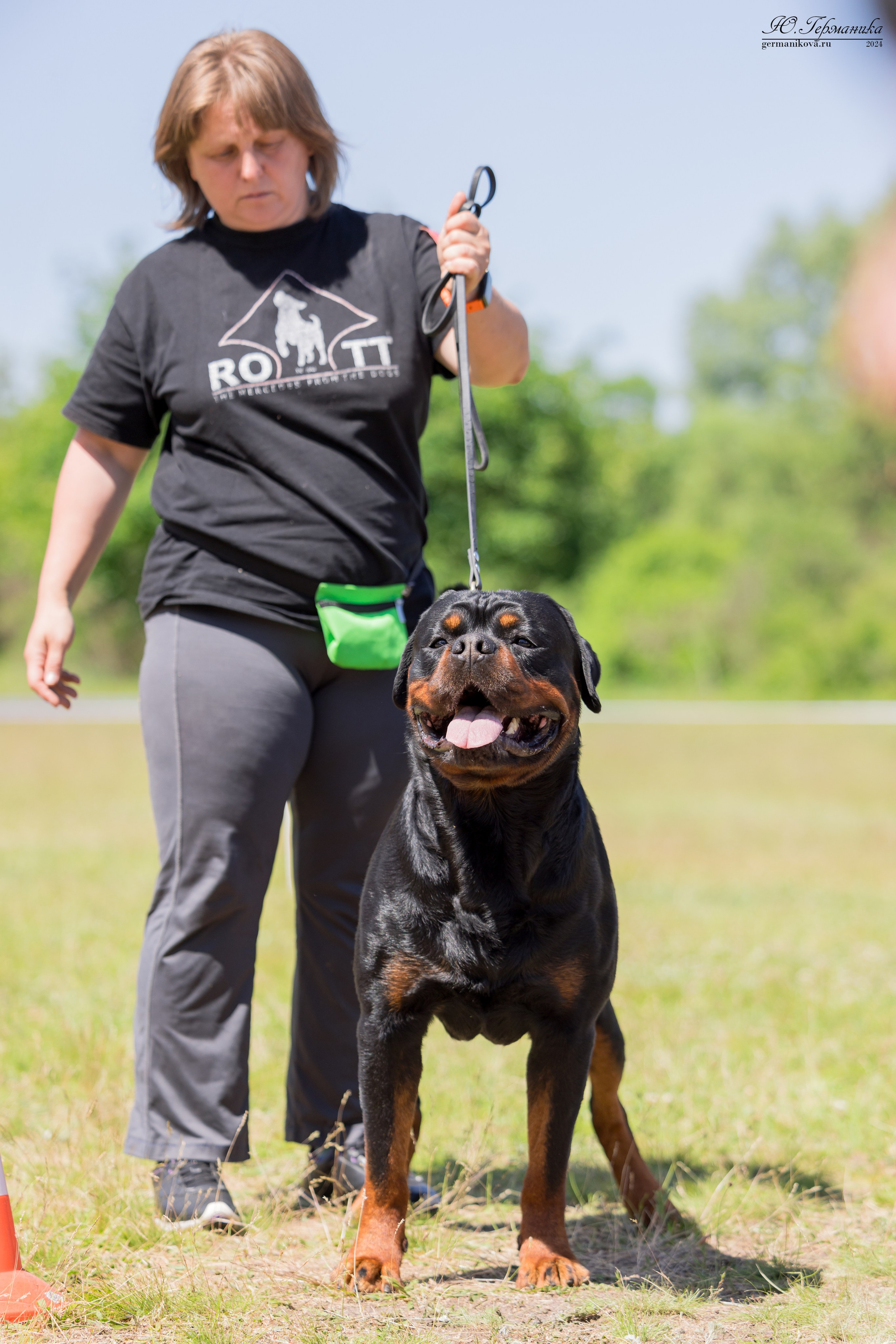 Воронеж моно ротвейлеров 25-26.05.2024. Фотограф-анималист Юлия Германика