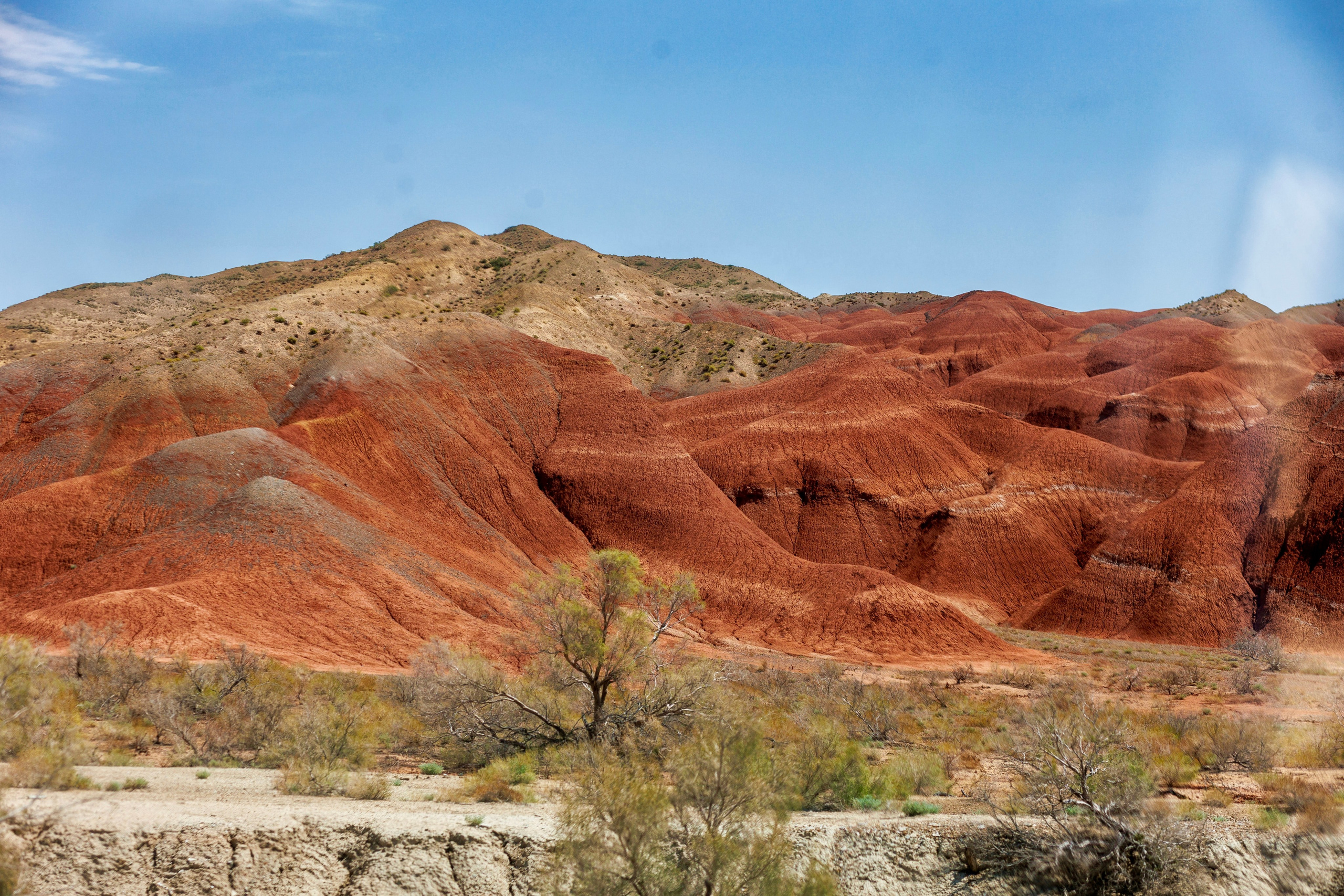 Алтын Эмель. Экскурсии и туры по Алматы