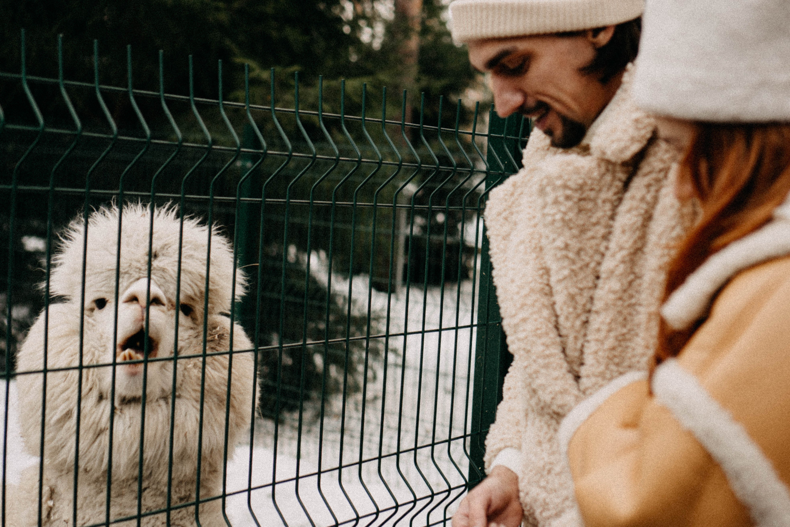 Каток. Профессиональный фотограф, Санкт-Петербург — Виктория Богомолова