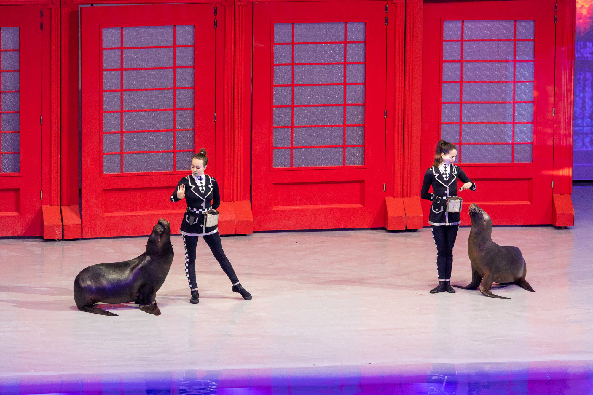 МОСКВАРИУМ. Свадебный фотограф Москва