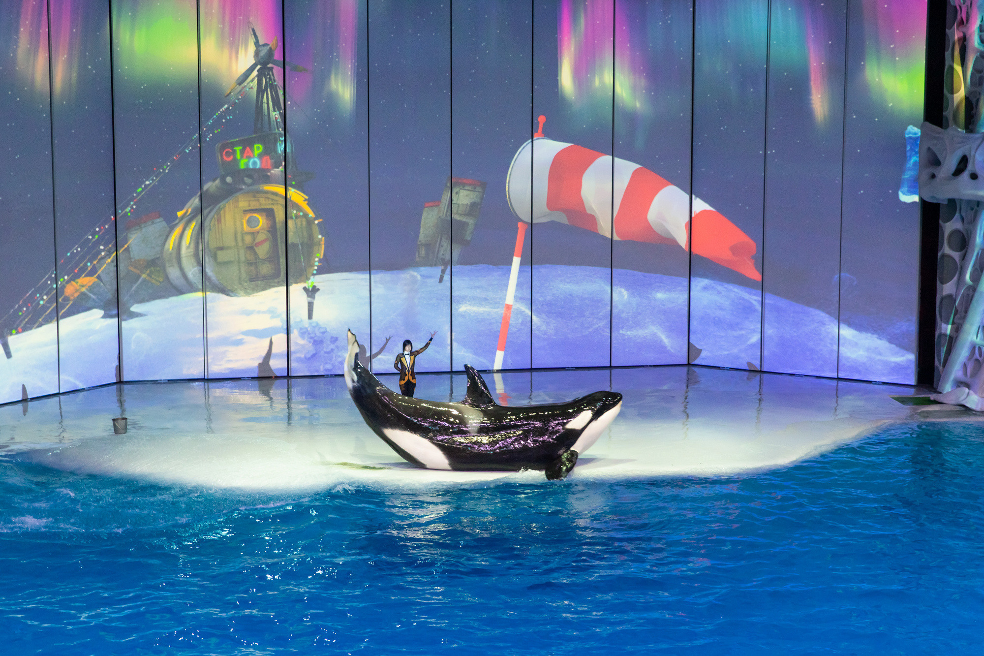 МОСКВАРИУМ. Свадебный фотограф Москва