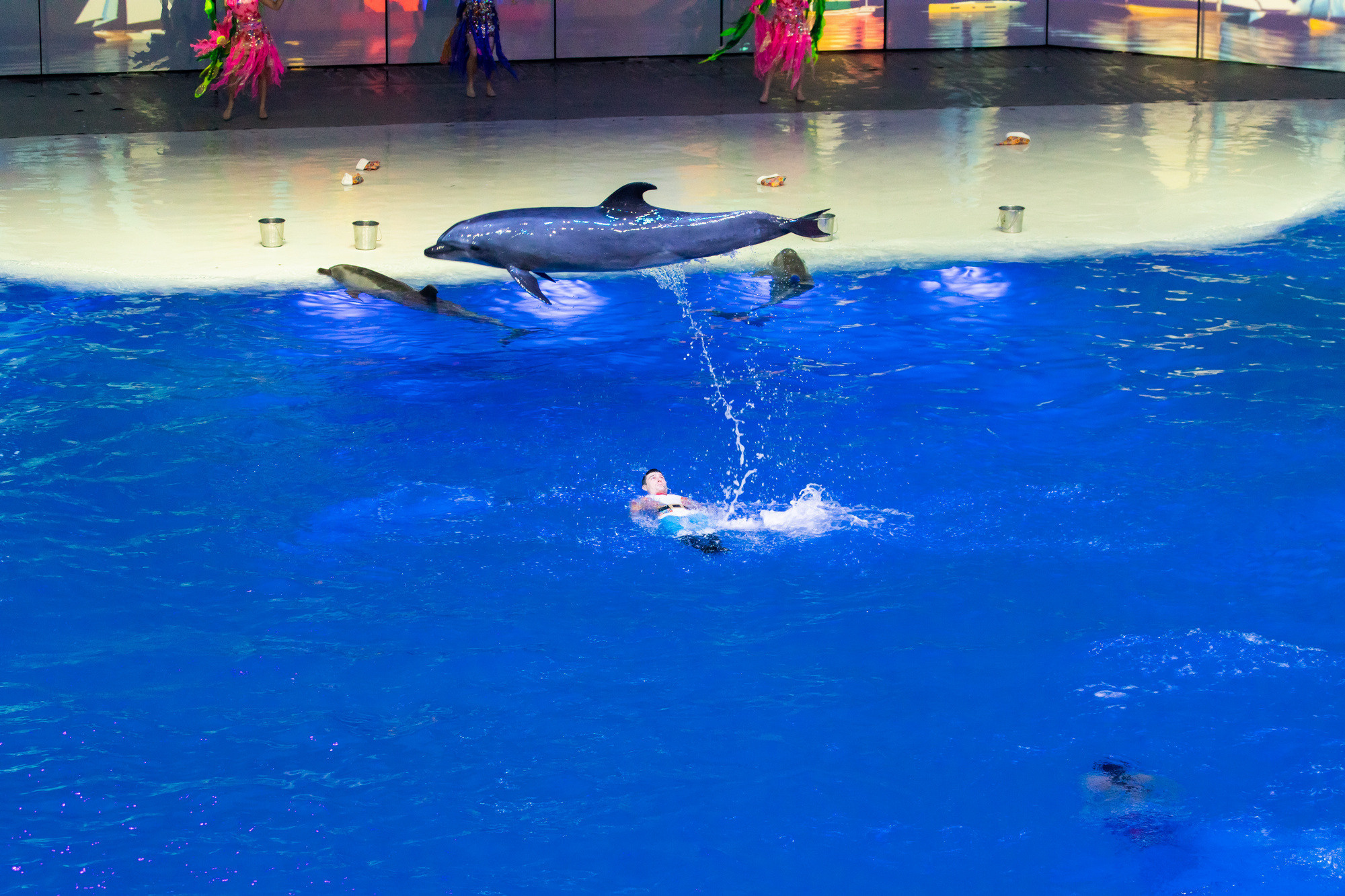 МОСКВАРИУМ. Свадебный фотограф Москва