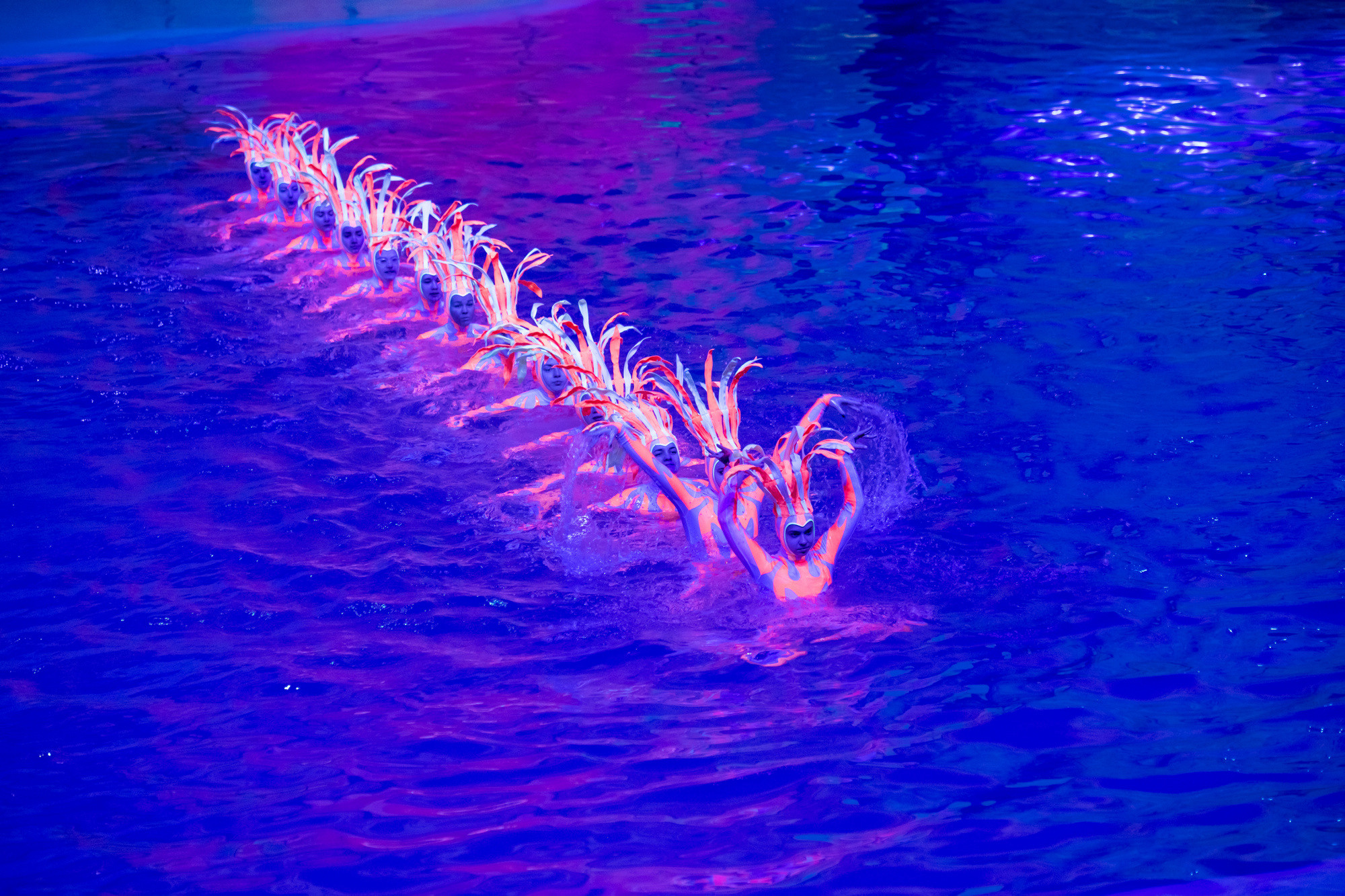 МОСКВАРИУМ. Свадебный фотограф Москва