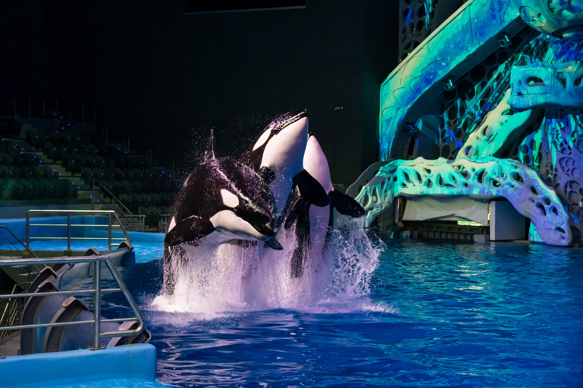 МОСКВАРИУМ. Свадебный фотограф Москва