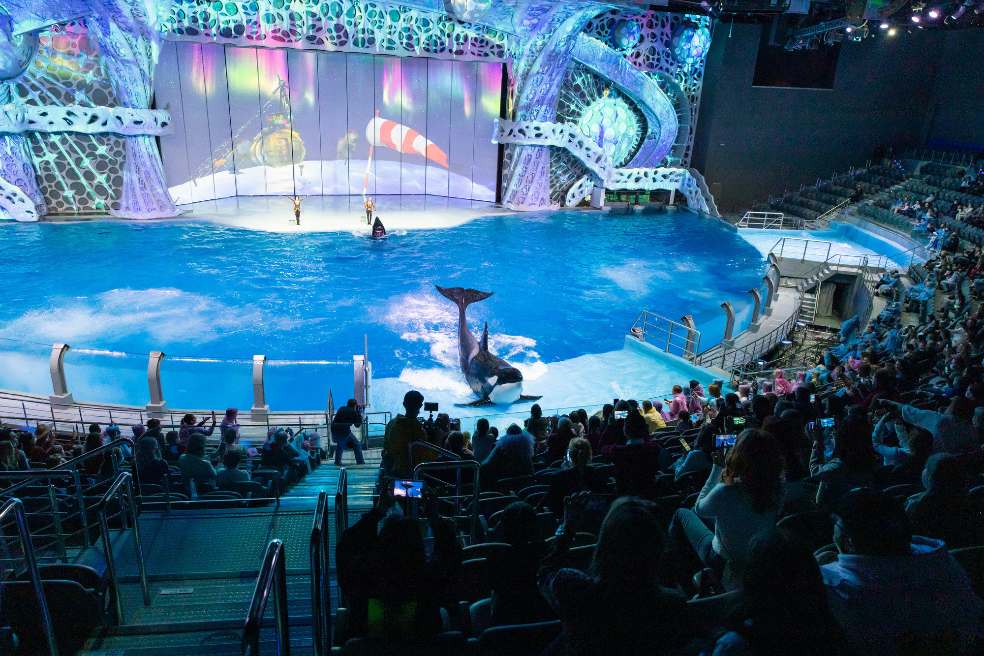 МОСКВАРИУМ. Свадебный фотограф Москва