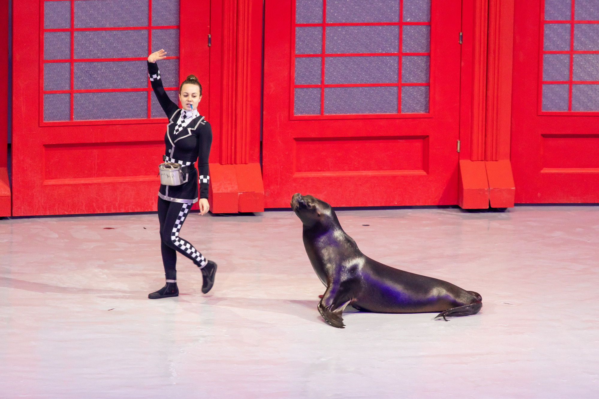 МОСКВАРИУМ. Свадебный фотограф Москва