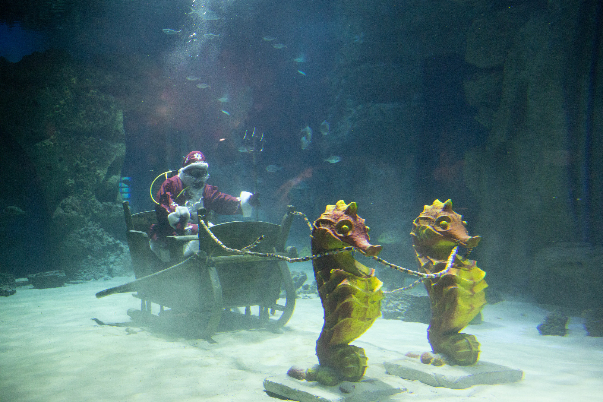 МОСКВАРИУМ. Свадебный фотограф Москва