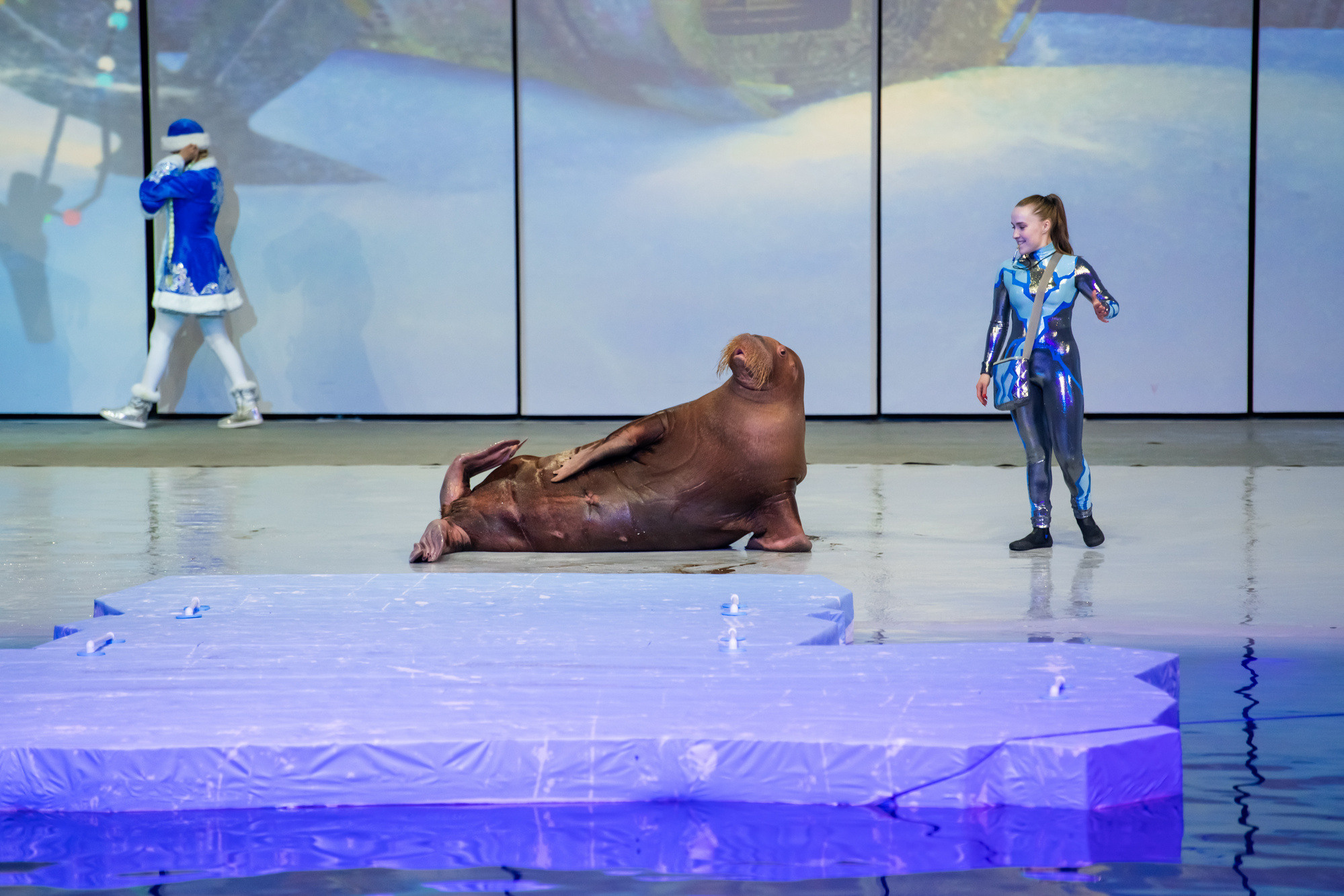 МОСКВАРИУМ. Свадебный фотограф Москва