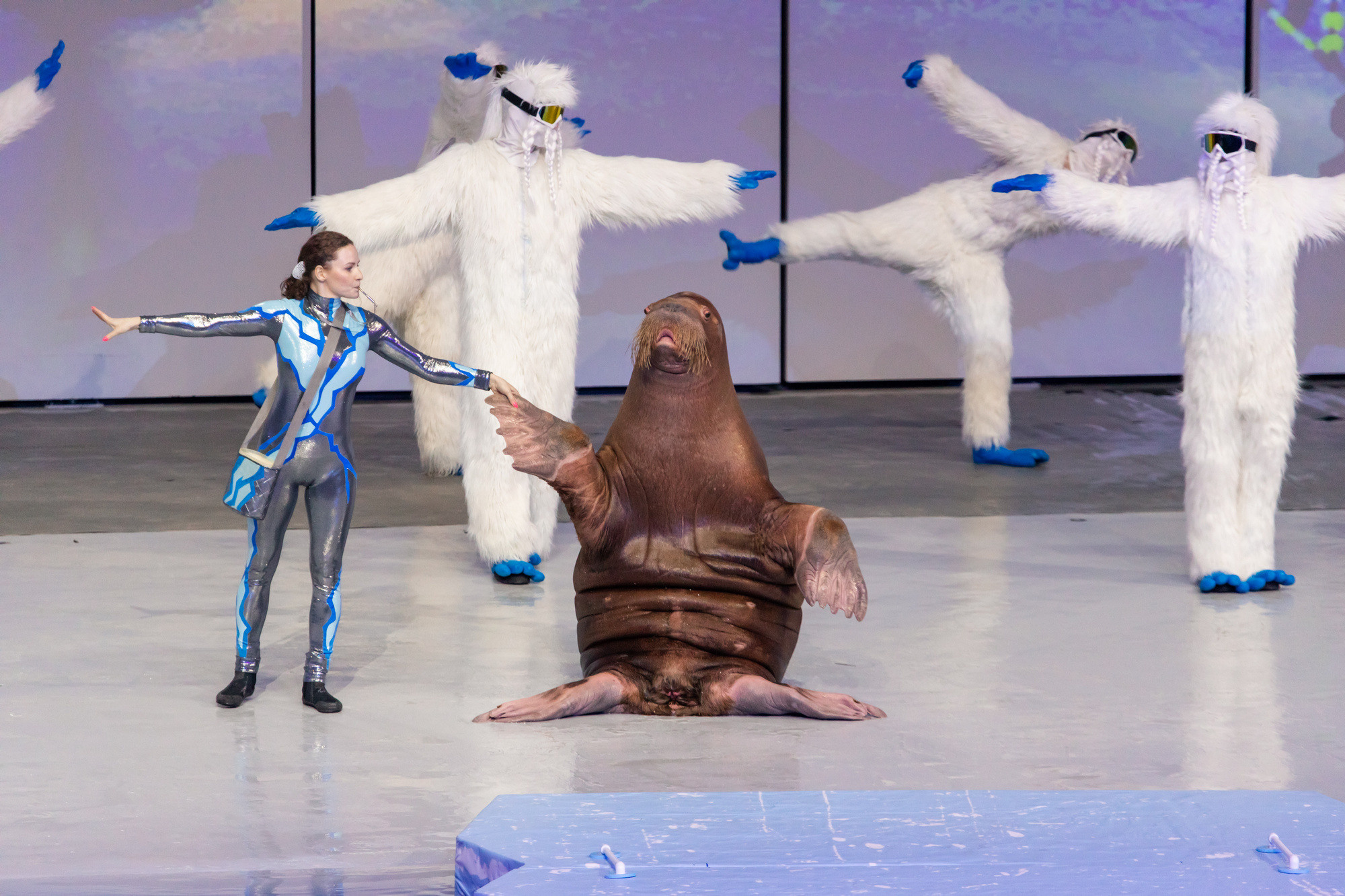 МОСКВАРИУМ. Свадебный фотограф Москва