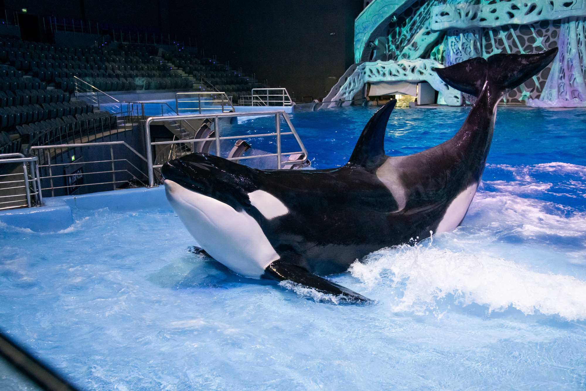 МОСКВАРИУМ. Свадебный фотограф Москва