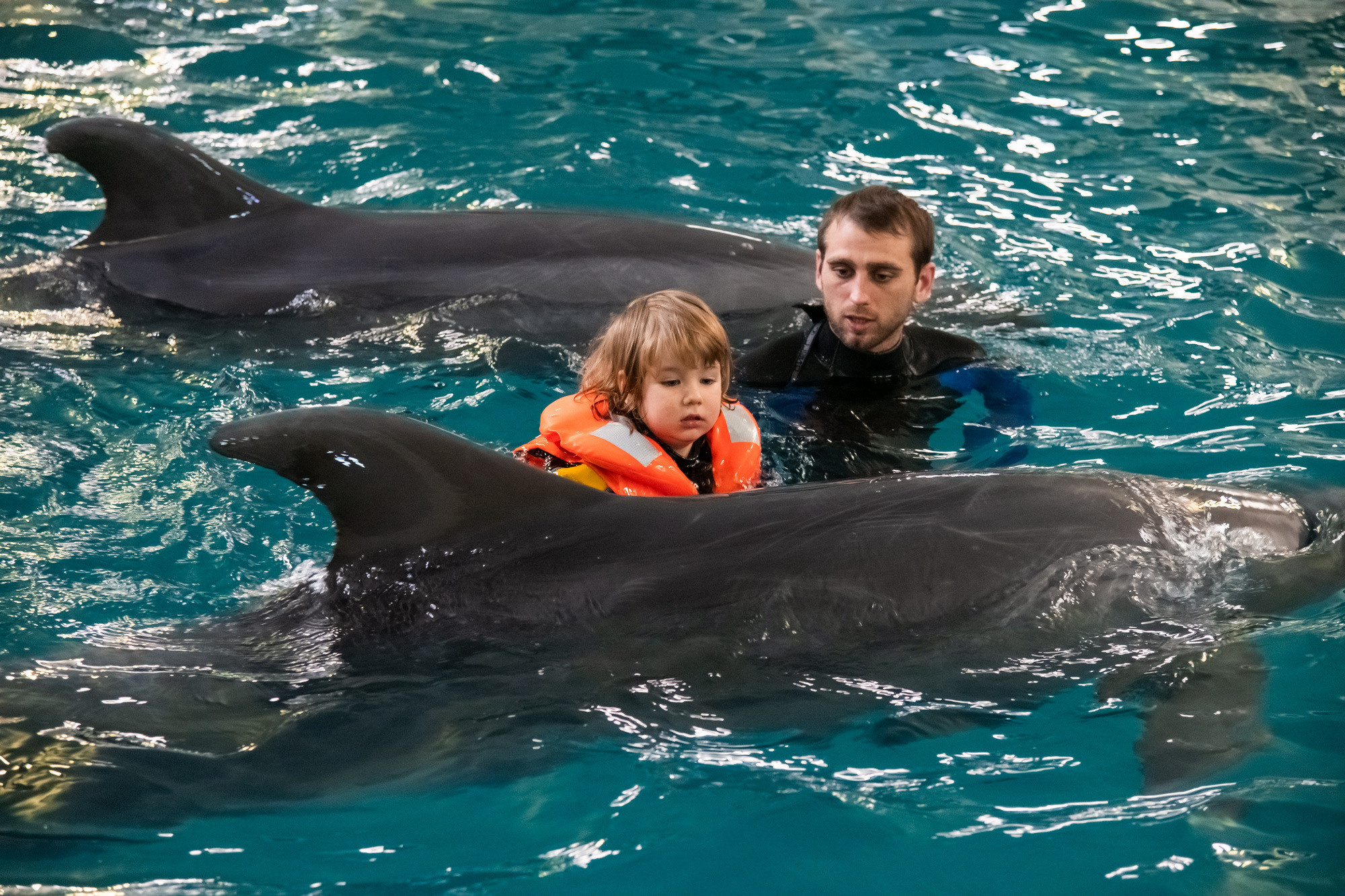 МОСКВАРИУМ. Свадебный фотограф Москва