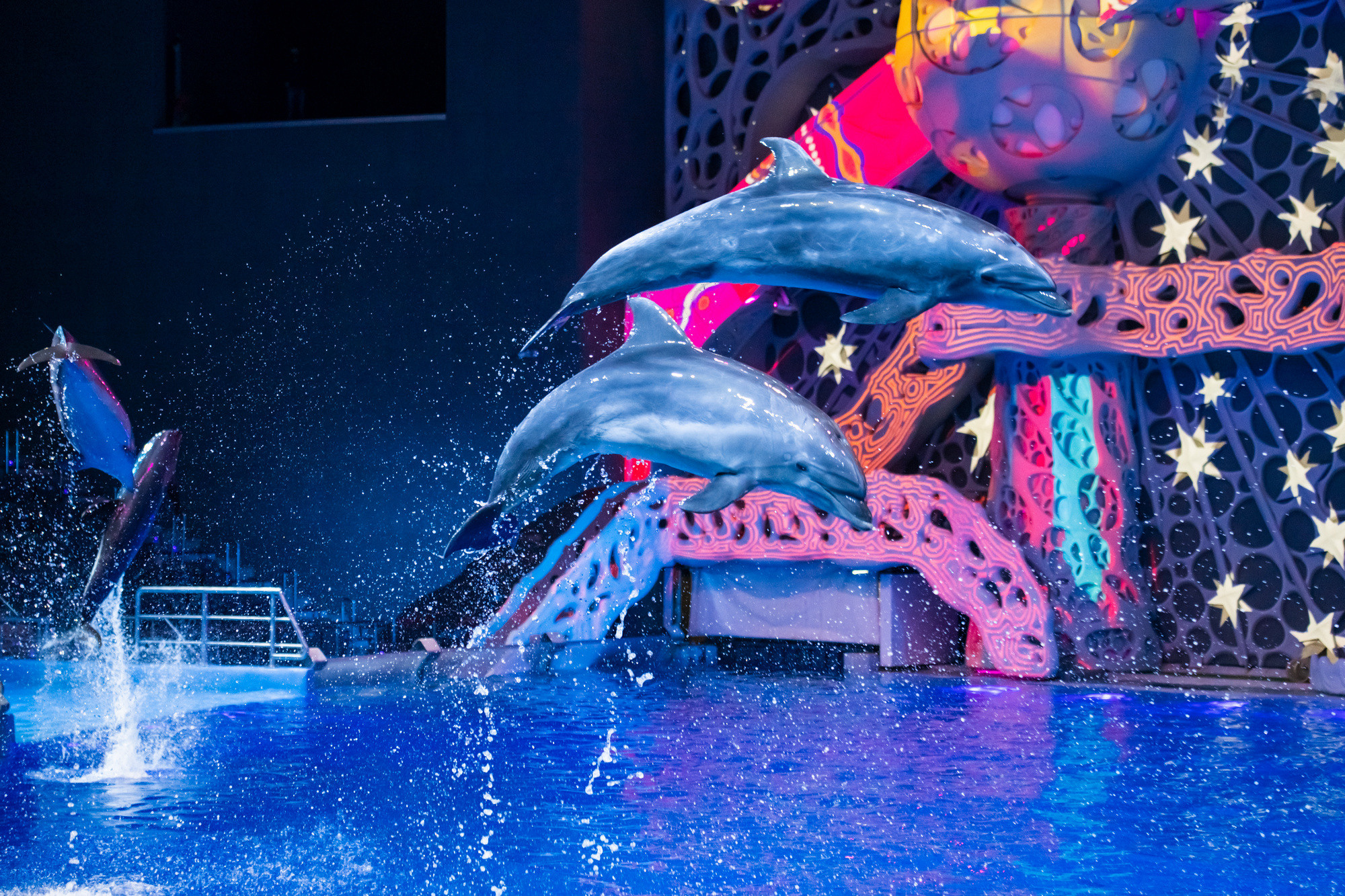 МОСКВАРИУМ. Свадебный фотограф Москва