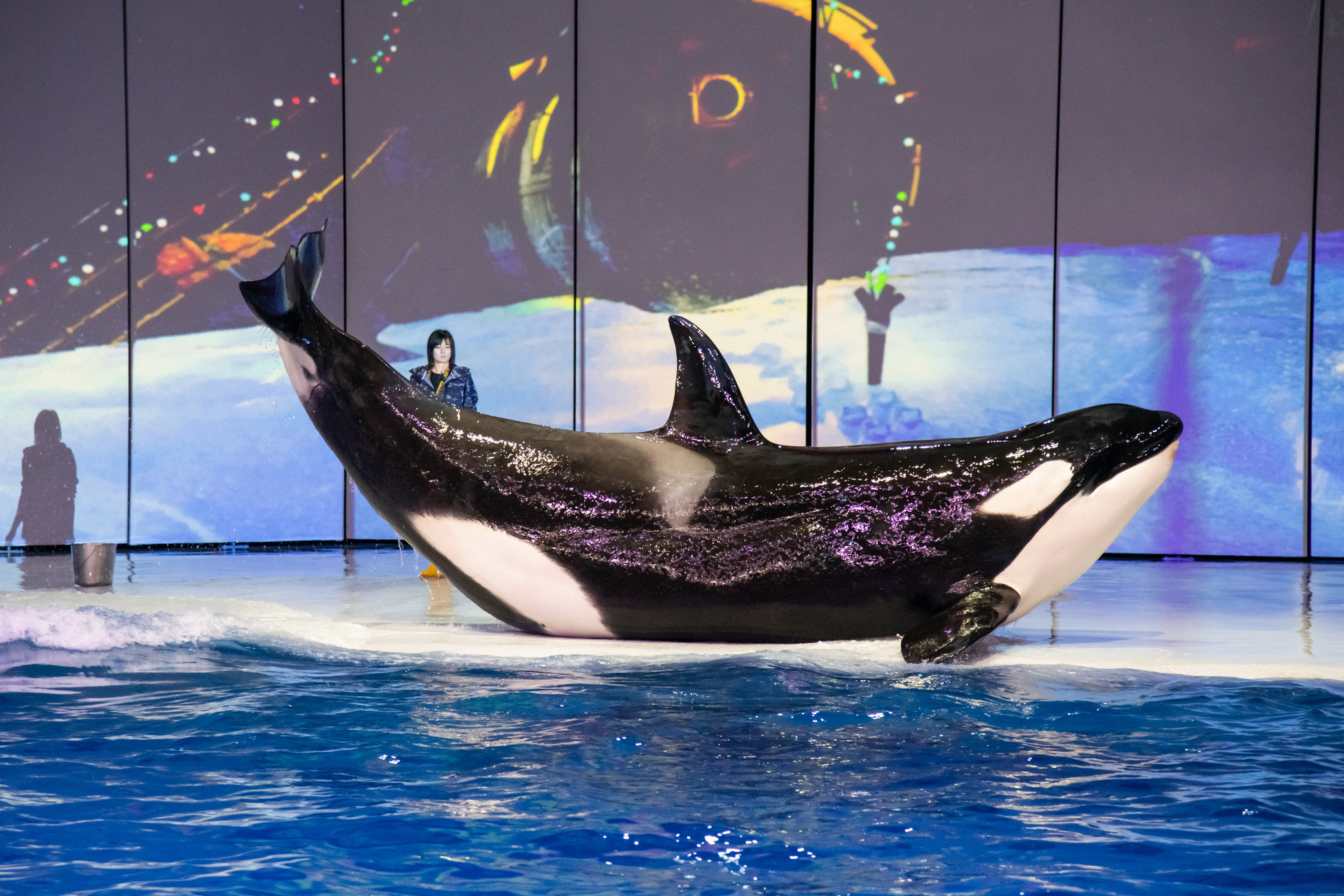 МОСКВАРИУМ. Свадебный фотограф Москва