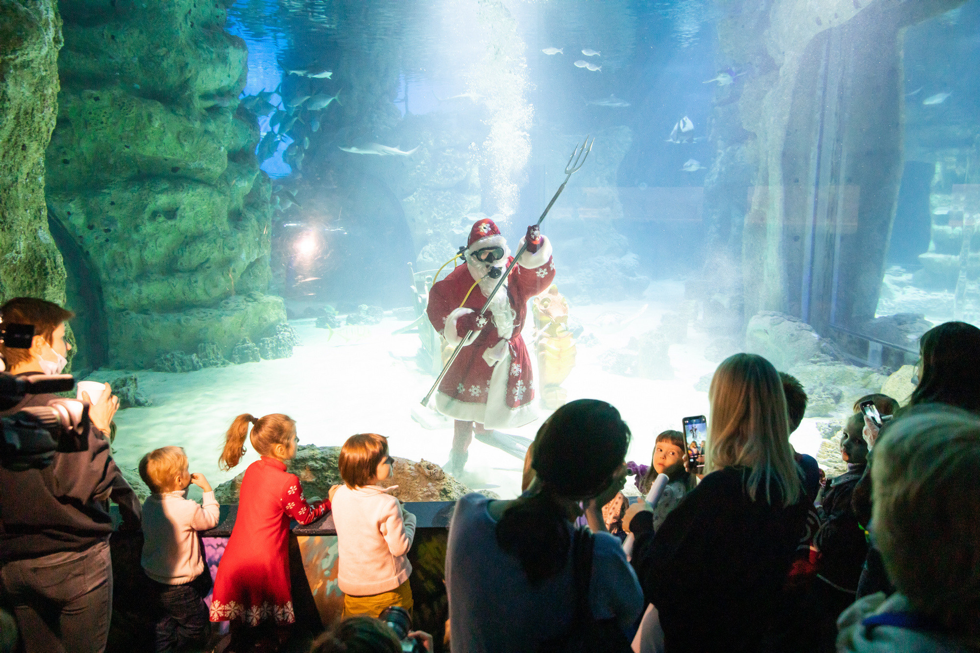 МОСКВАРИУМ. Свадебный фотограф Москва