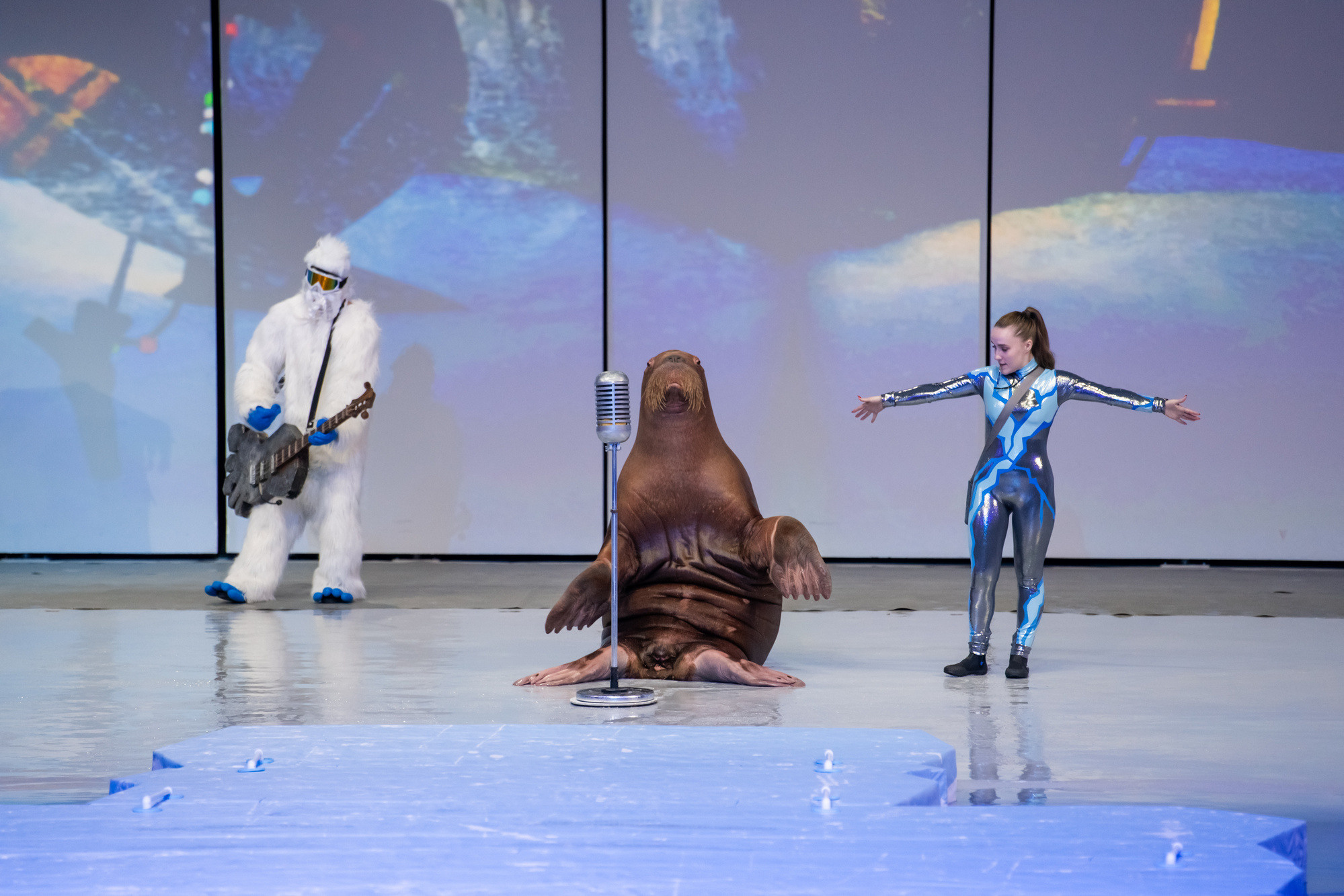 МОСКВАРИУМ. Свадебный фотограф Москва
