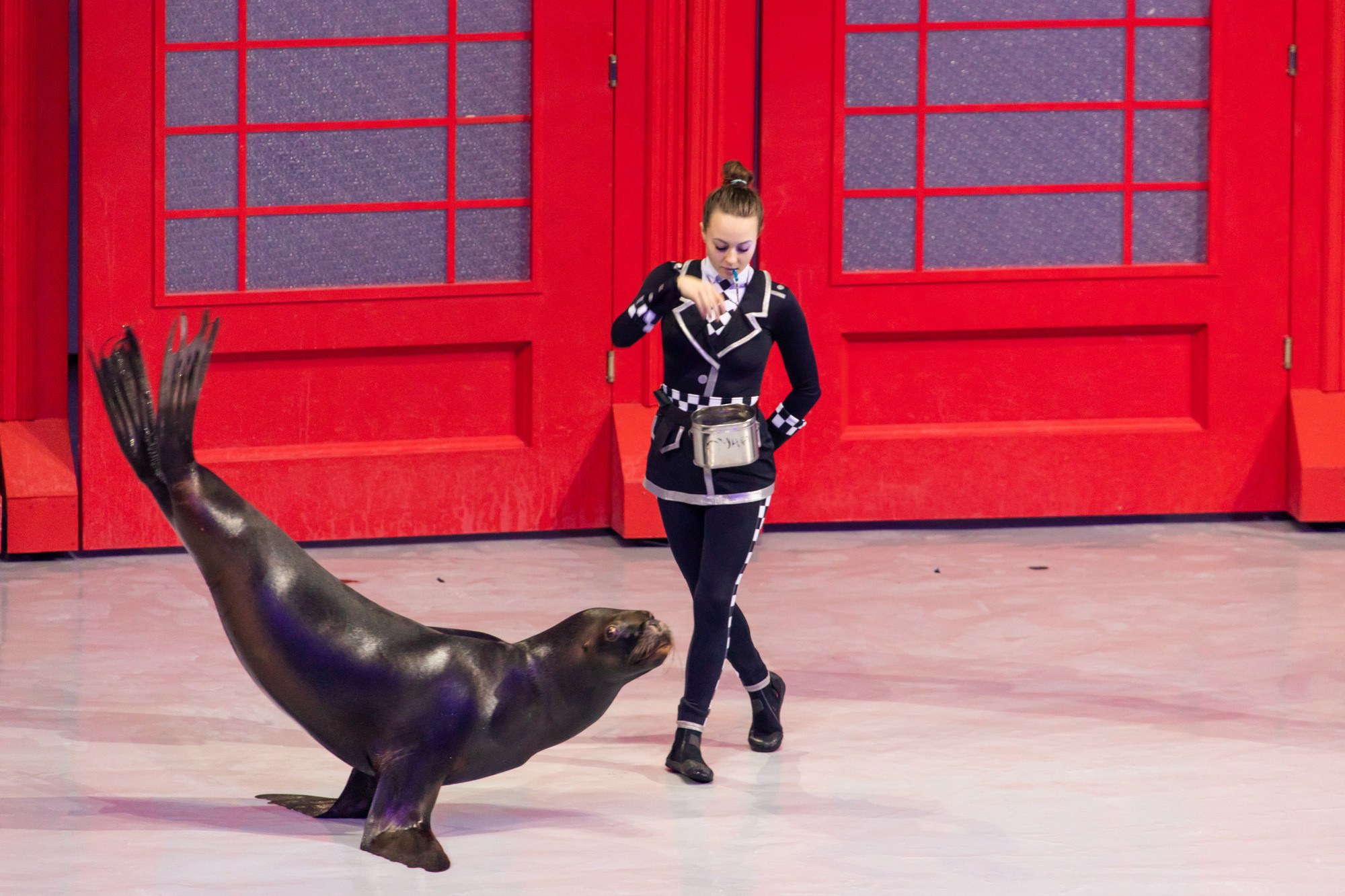 МОСКВАРИУМ. Свадебный фотограф Москва