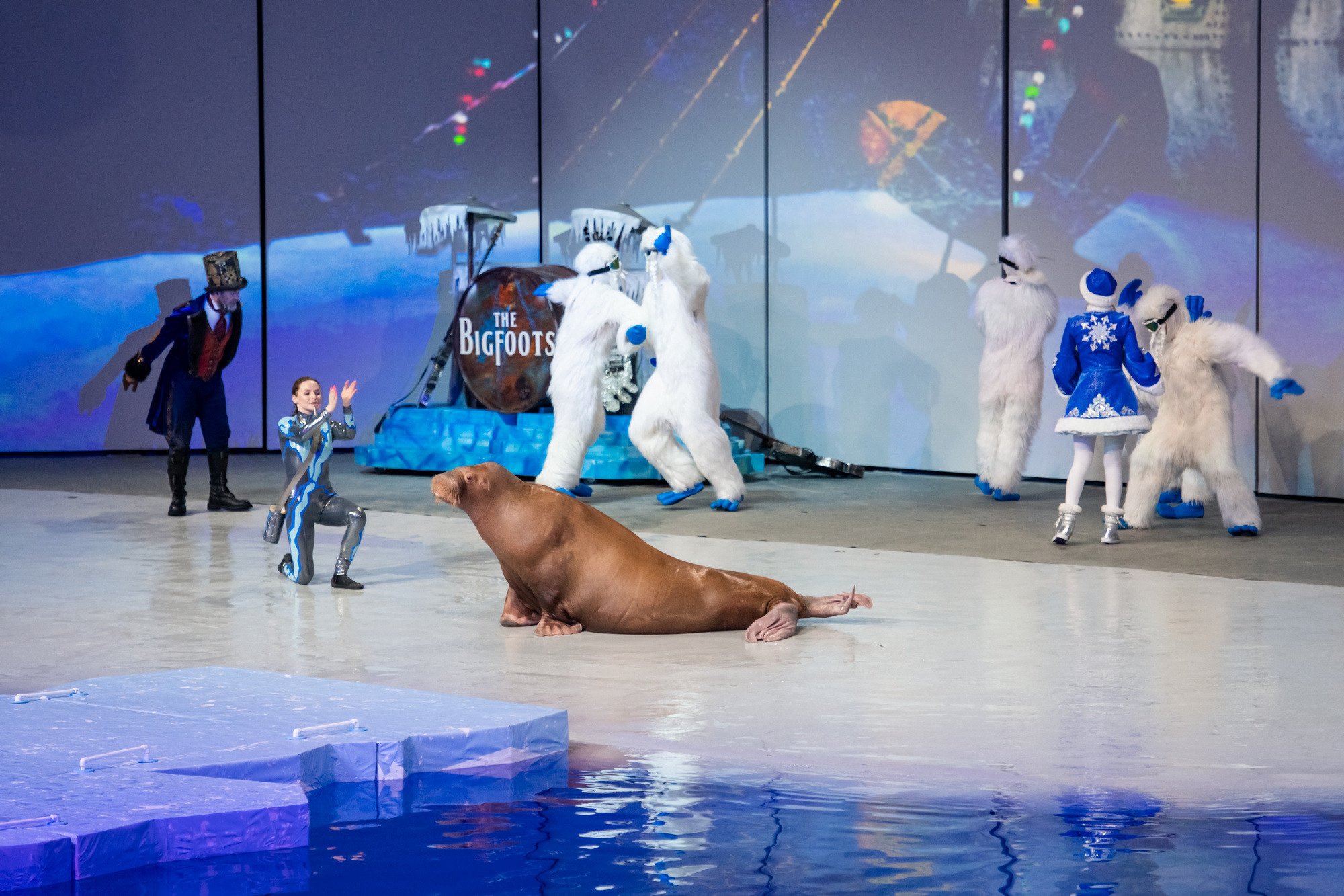 МОСКВАРИУМ. Свадебный фотограф Москва