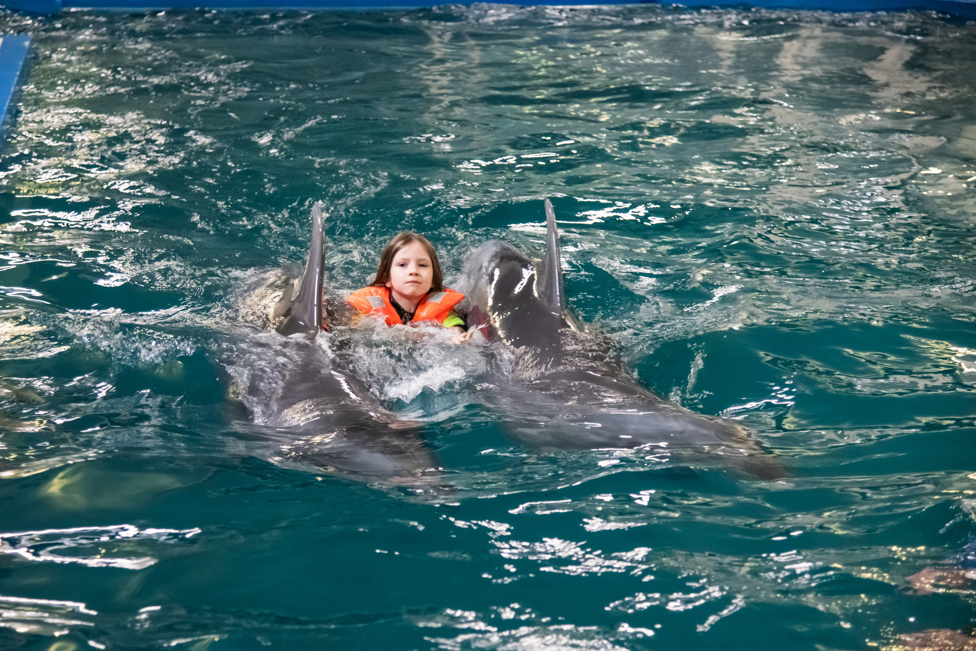 МОСКВАРИУМ. Свадебный фотограф Москва