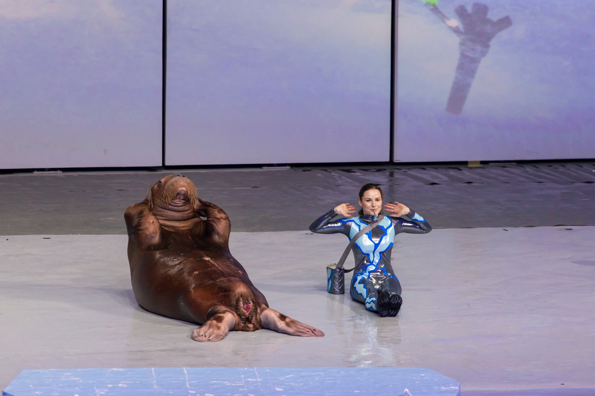 МОСКВАРИУМ. Свадебный фотограф Москва