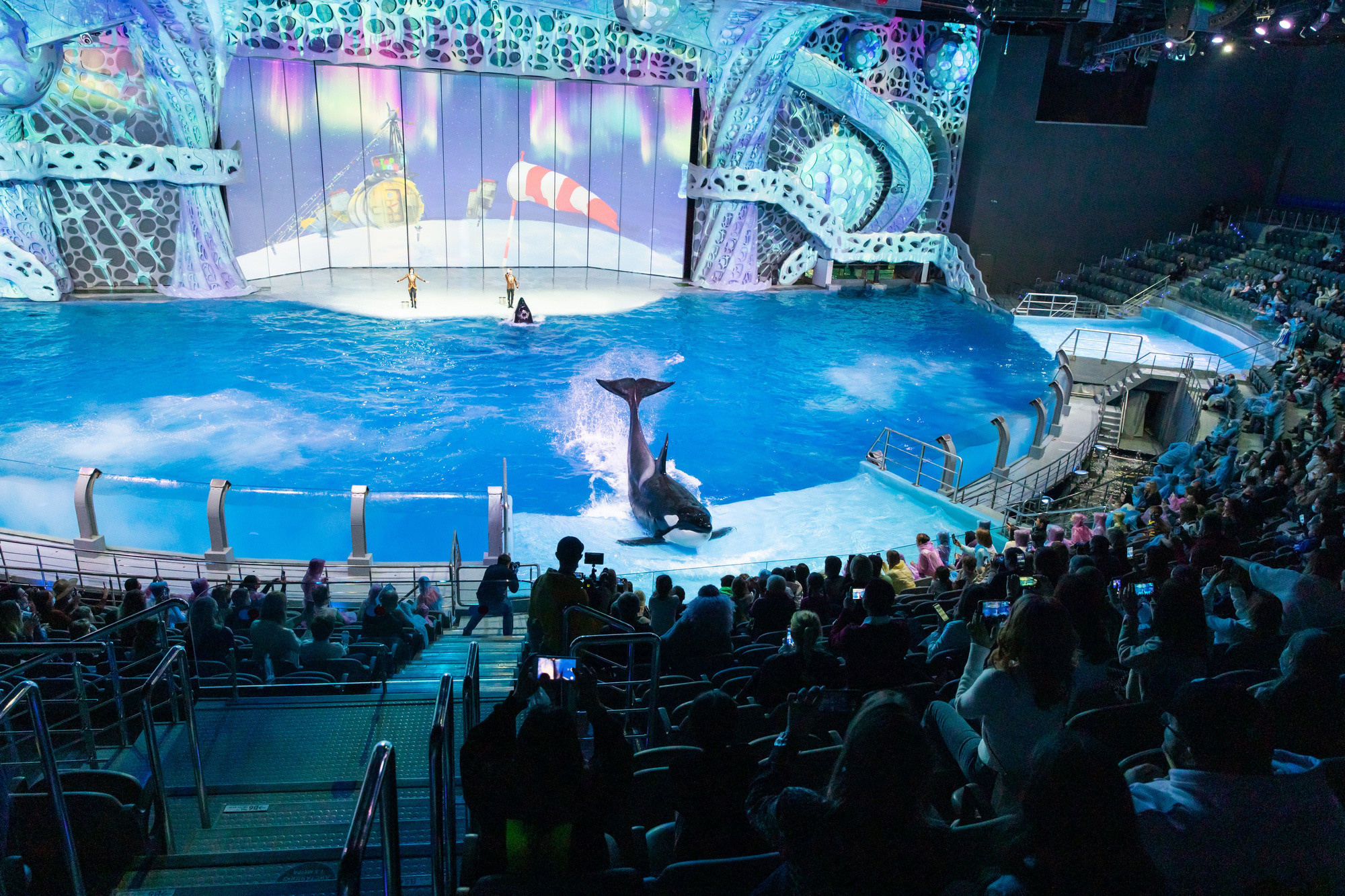 МОСКВАРИУМ. Свадебный фотограф Москва