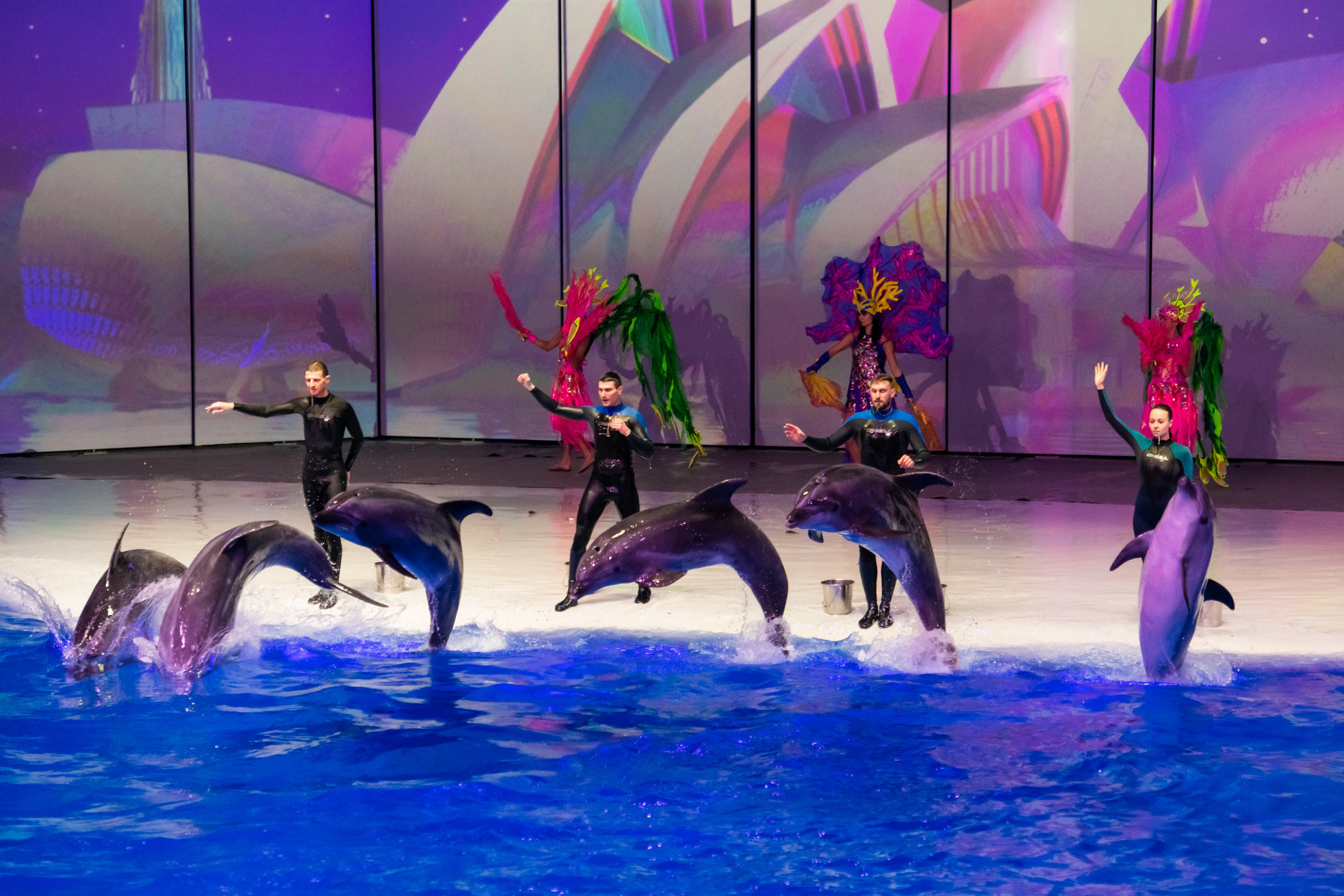 МОСКВАРИУМ. Свадебный фотограф Москва