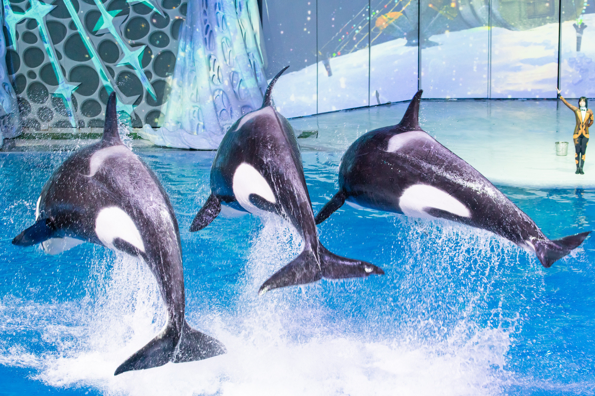 МОСКВАРИУМ. Свадебный фотограф Москва