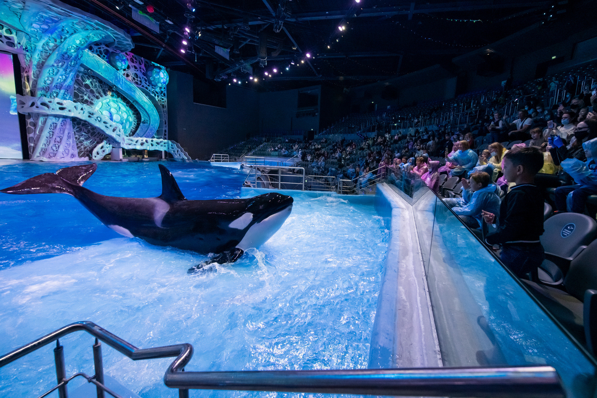 МОСКВАРИУМ. Свадебный фотограф Москва