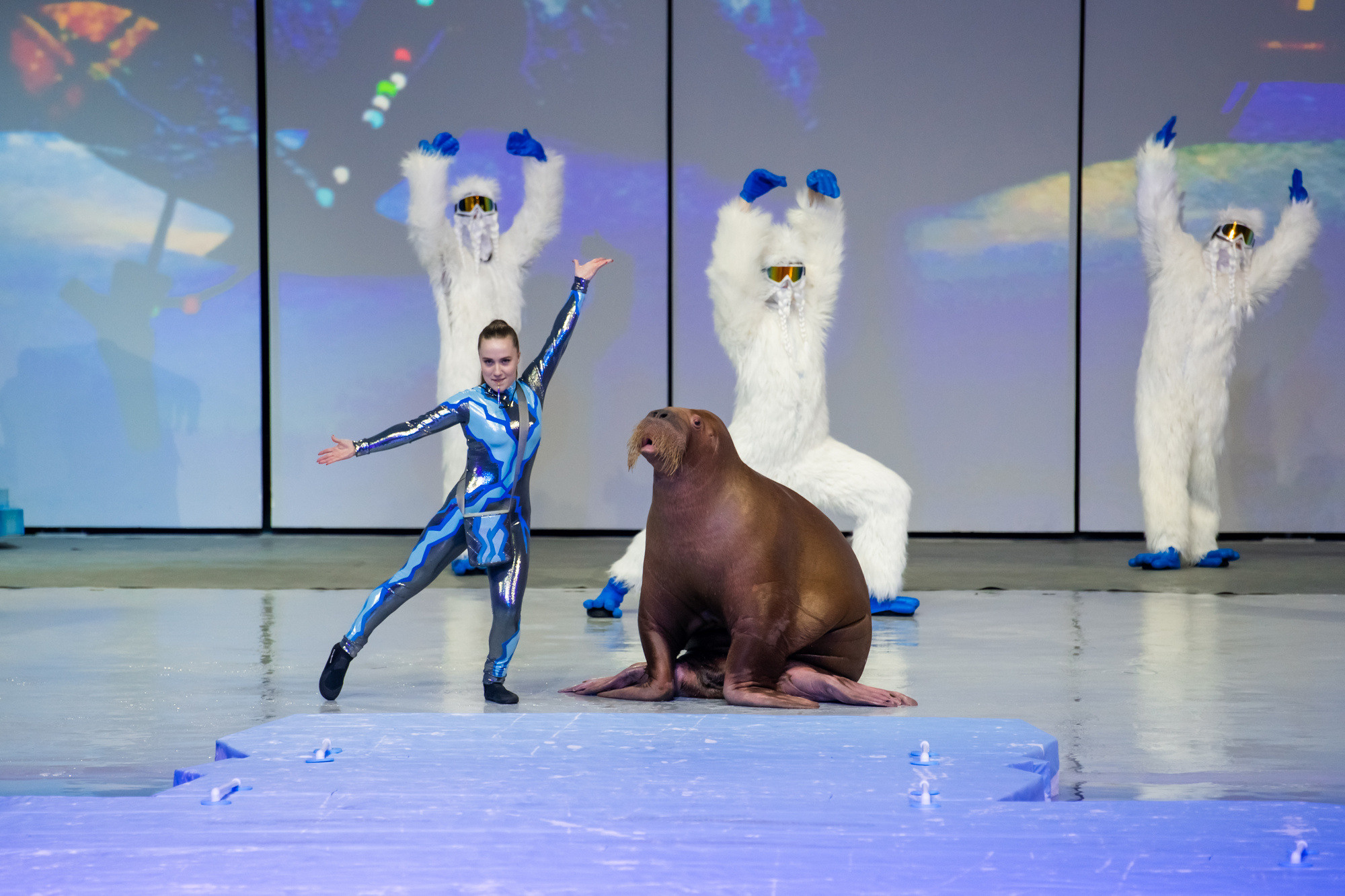 МОСКВАРИУМ. Свадебный фотограф Москва