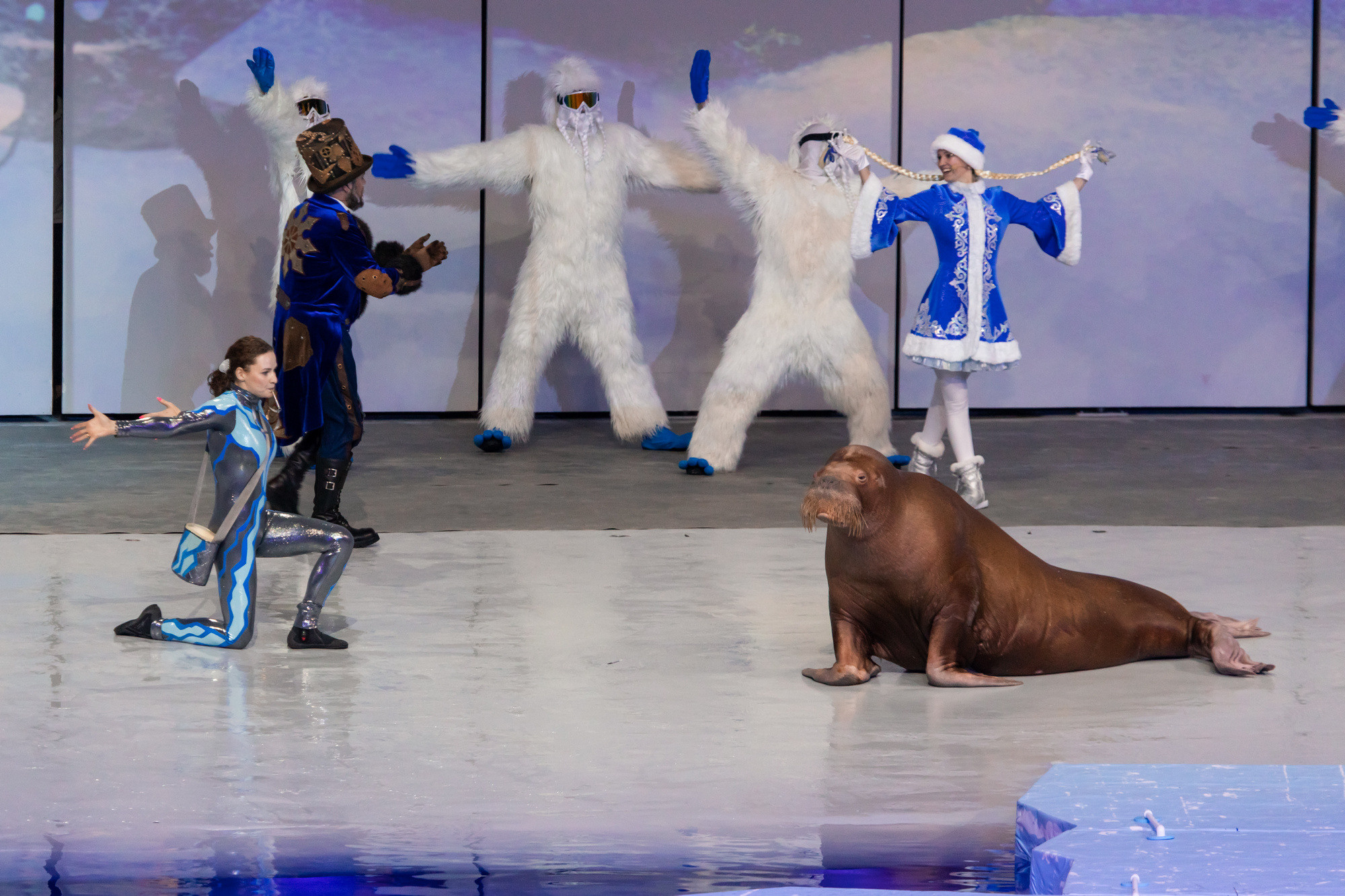 МОСКВАРИУМ. Свадебный фотограф Москва