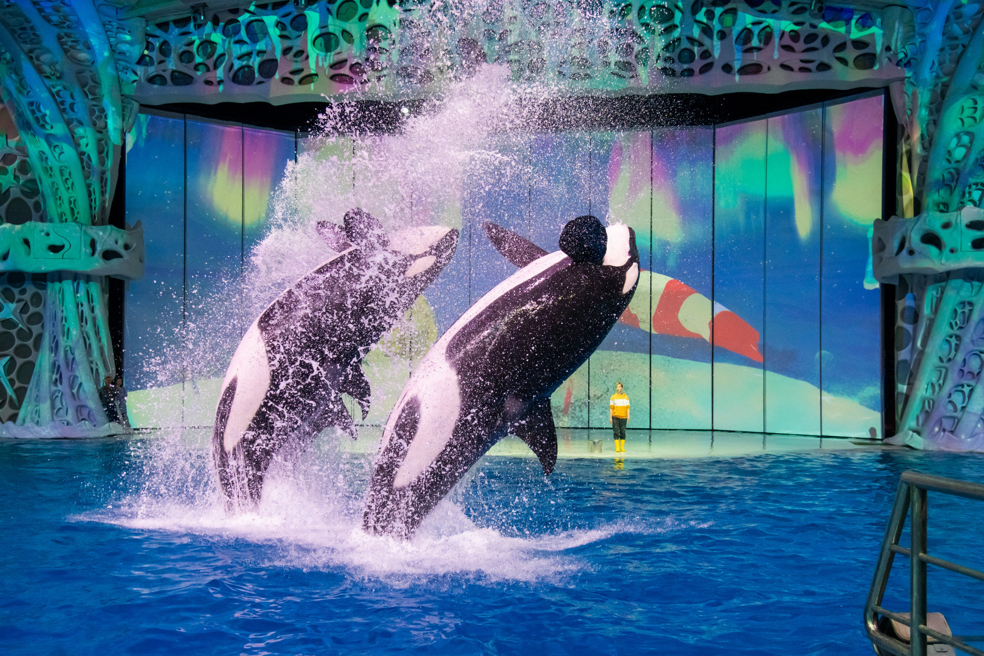 МОСКВАРИУМ. Свадебный фотограф Москва