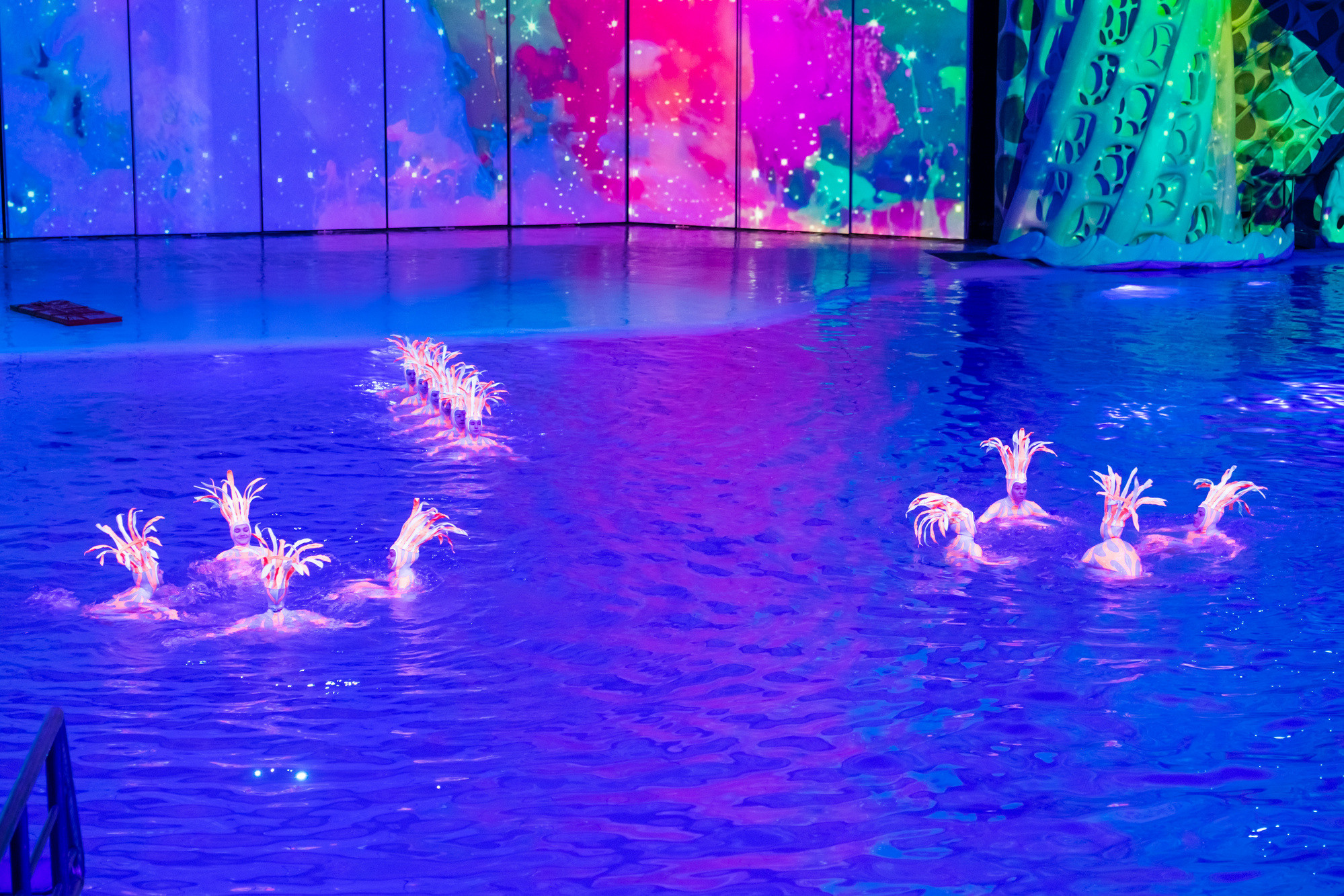 МОСКВАРИУМ. Свадебный фотограф Москва