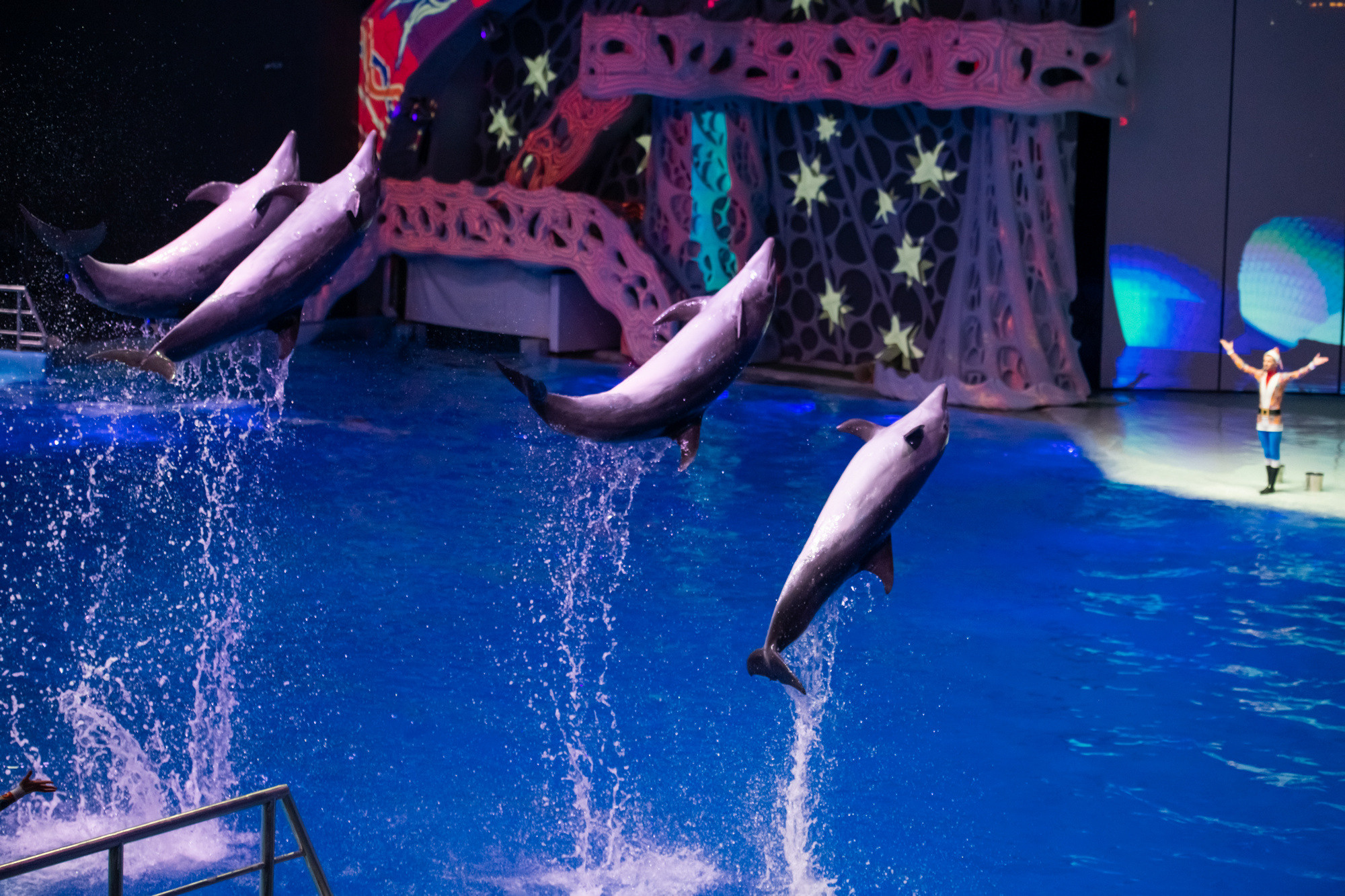 МОСКВАРИУМ. Свадебный фотограф Москва