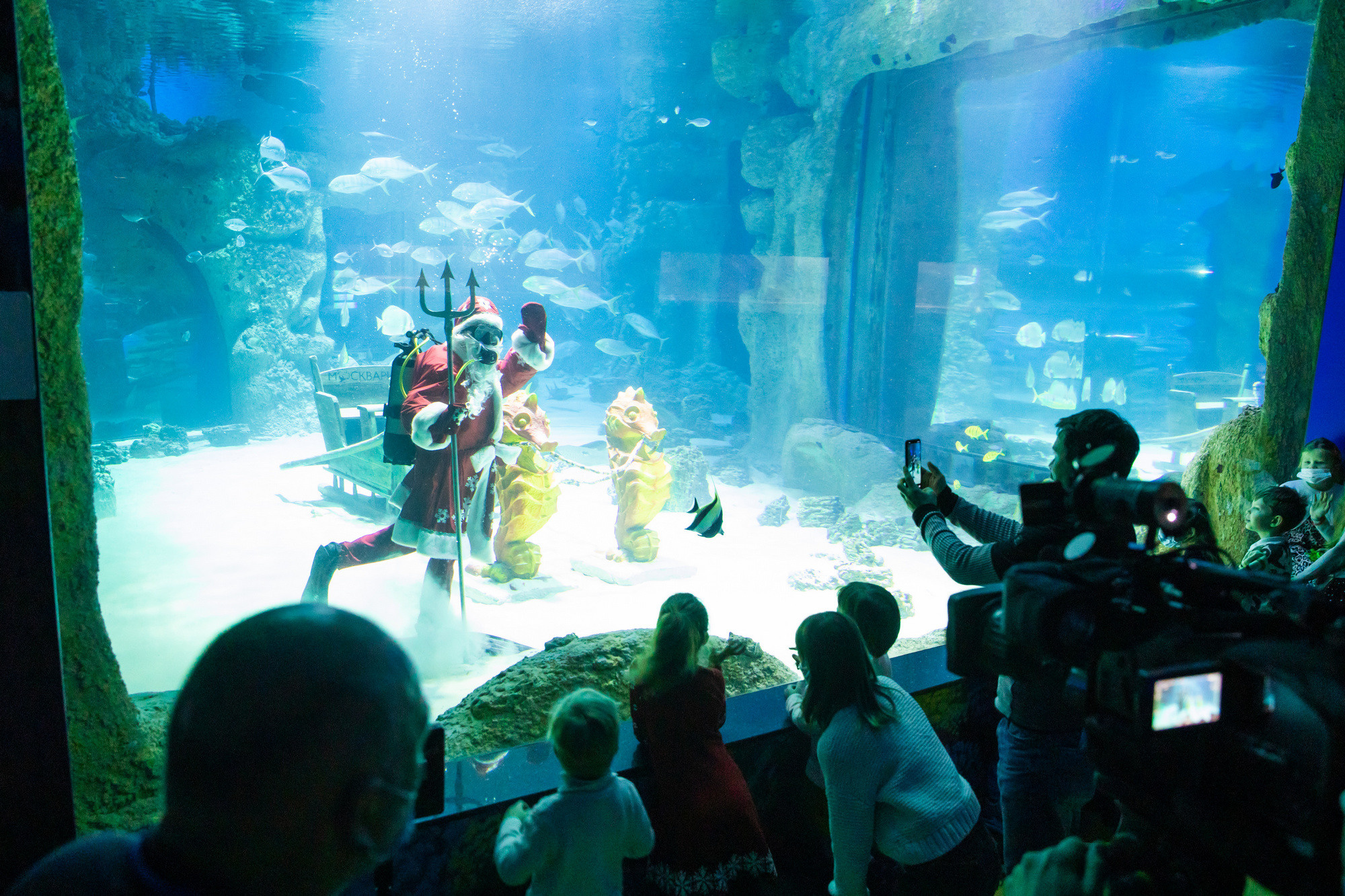 МОСКВАРИУМ. Свадебный фотограф Москва