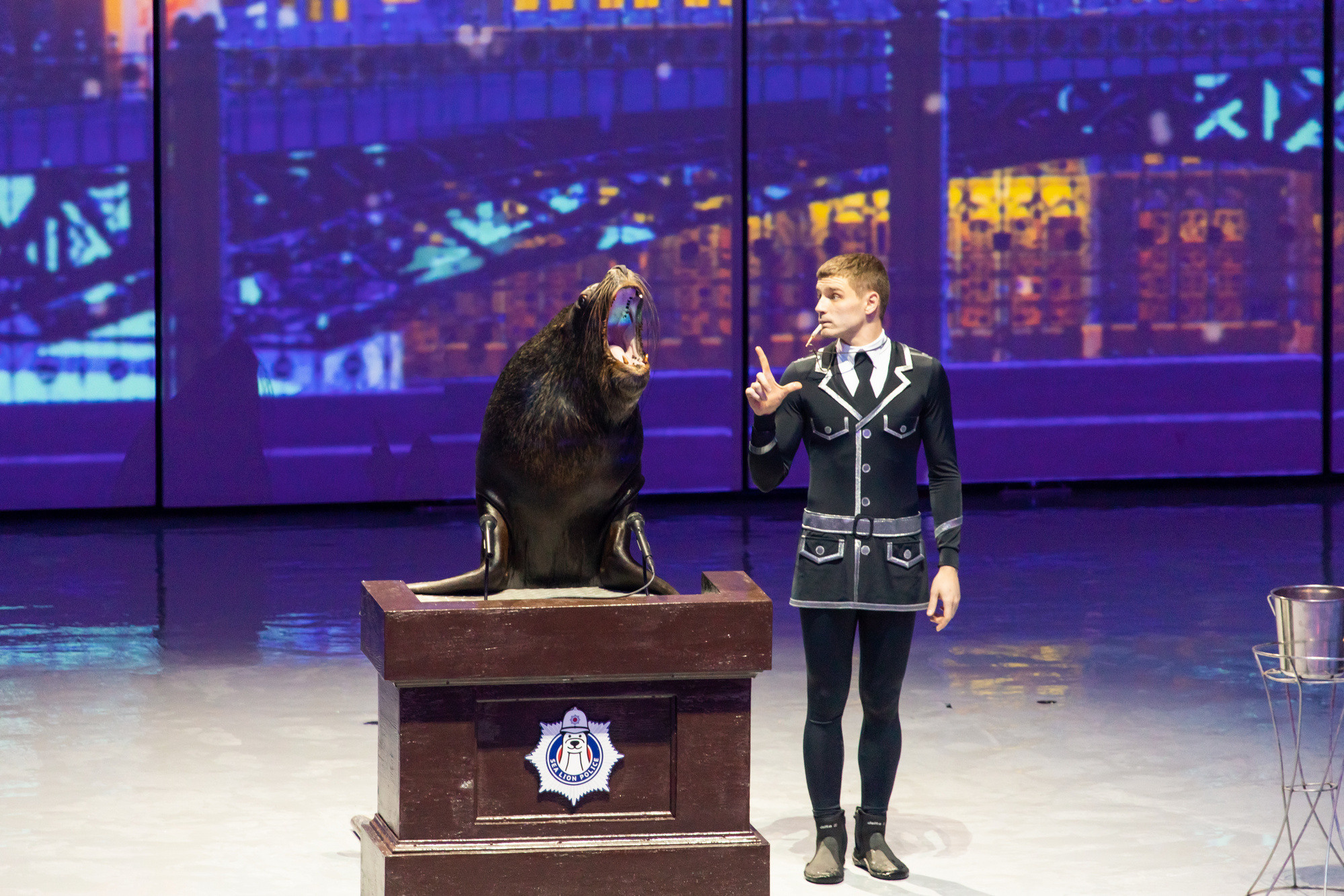 МОСКВАРИУМ. Свадебный фотограф Москва