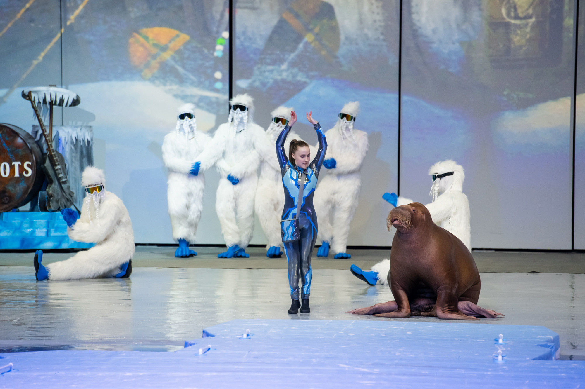 МОСКВАРИУМ. Свадебный фотограф Москва