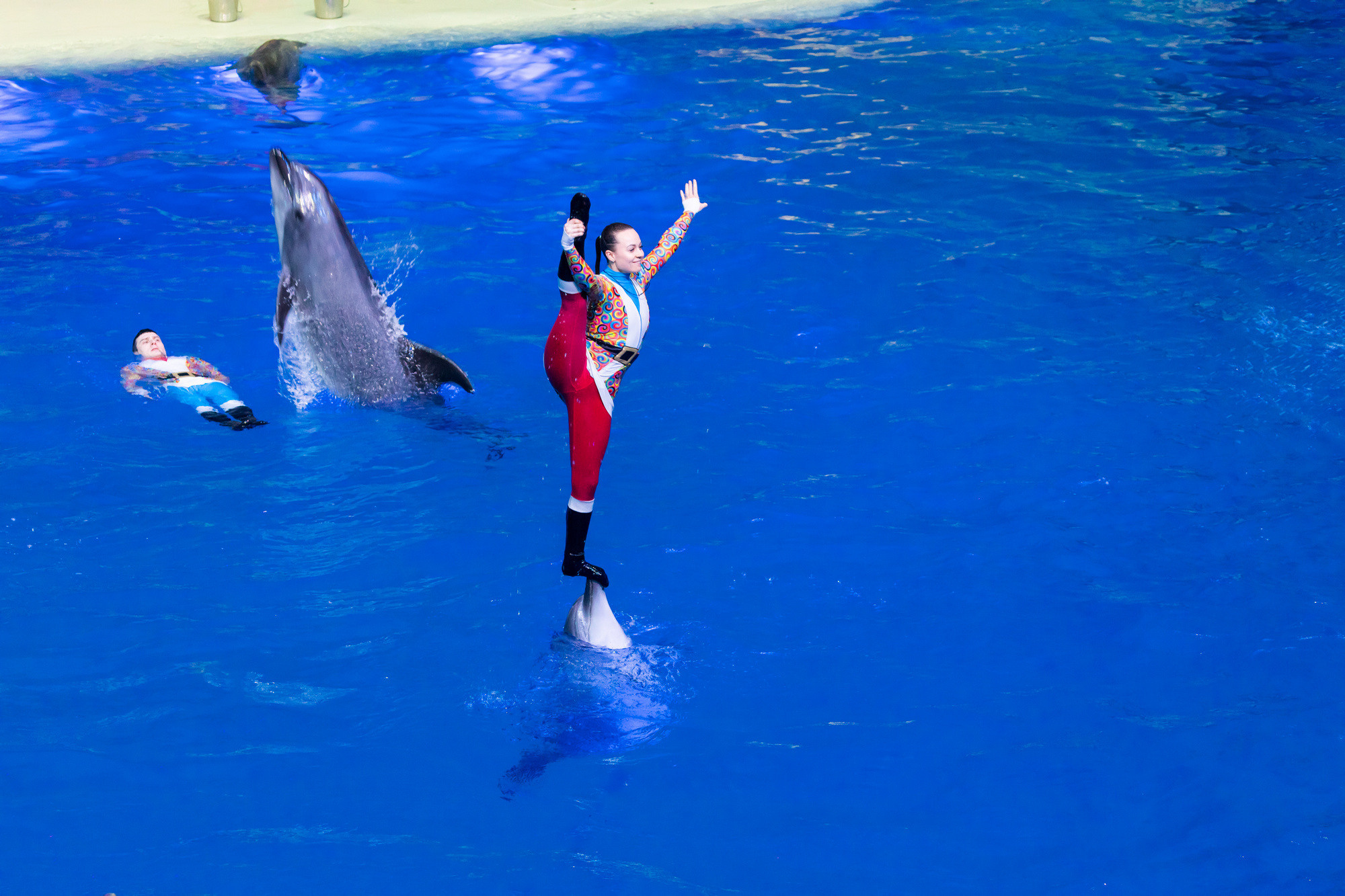 МОСКВАРИУМ. Свадебный фотограф Москва