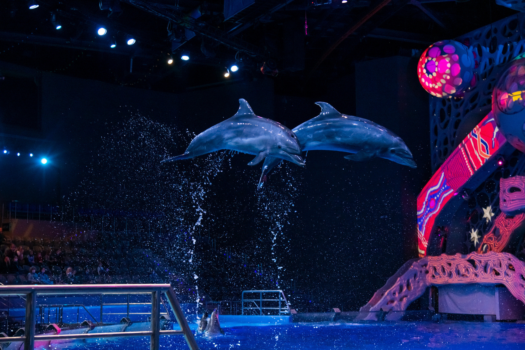 МОСКВАРИУМ. Свадебный фотограф Москва